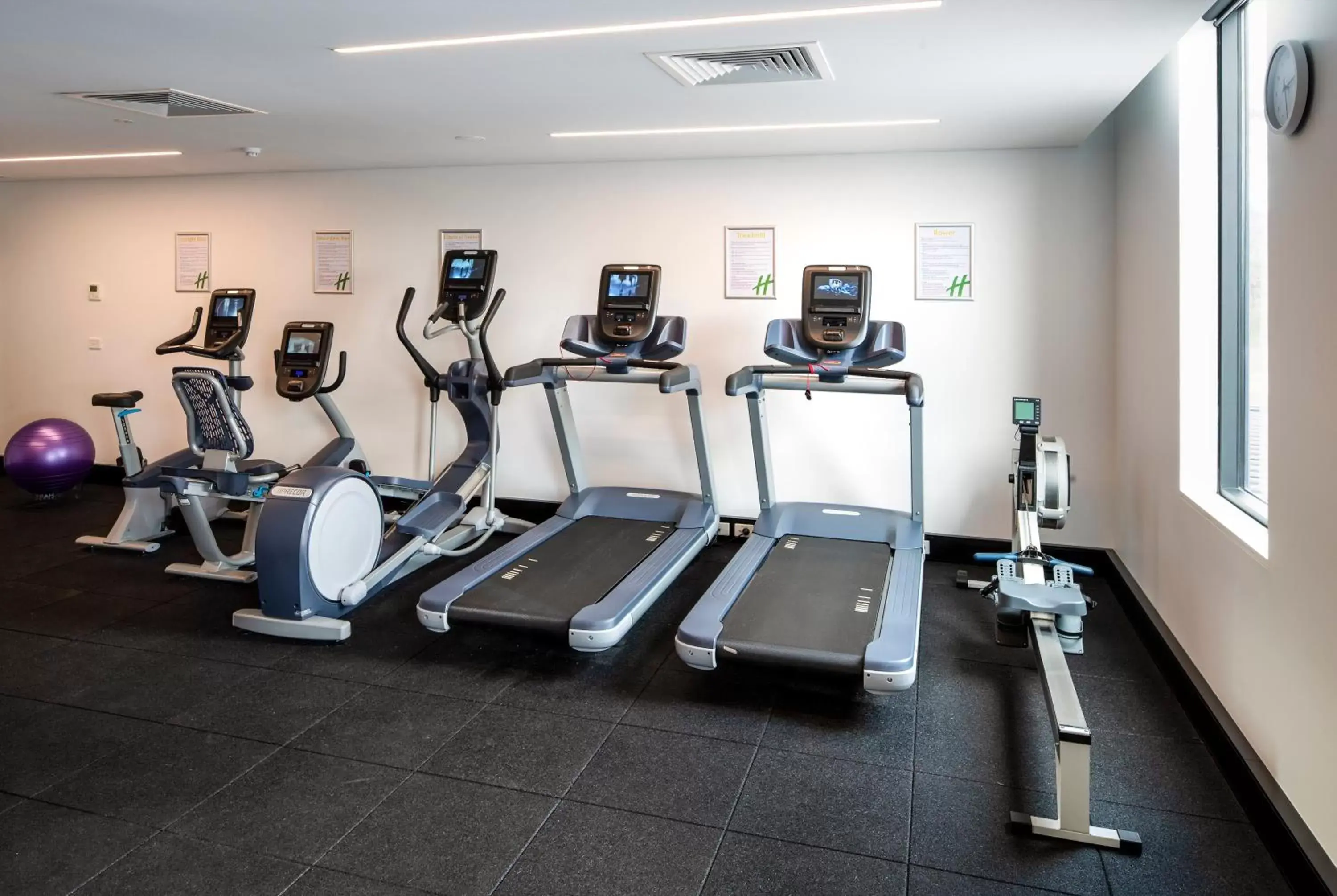 Spa and wellness centre/facilities, Fitness Center/Facilities in Holiday Inn Sydney St Marys, an IHG Hotel