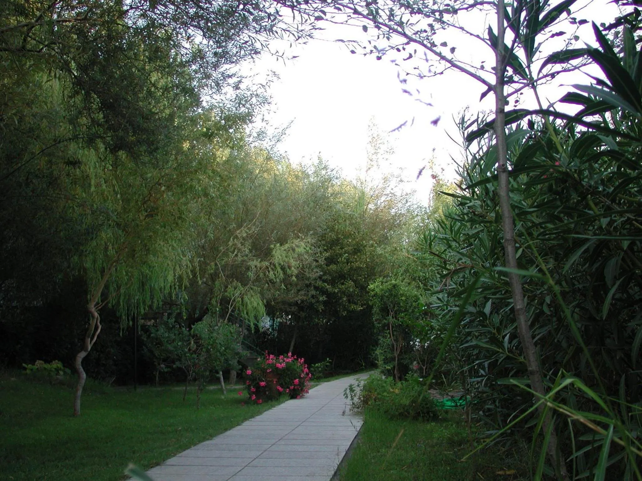 Garden in Albergo Residenziale Gli Ontani