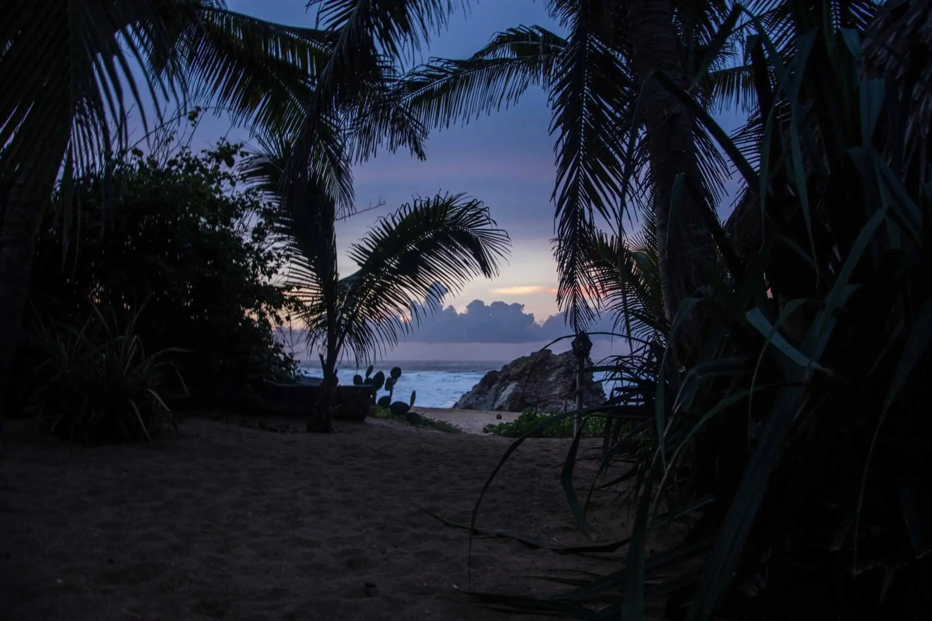 Natural landscape, Beach in El Alquimista Yoga Spa