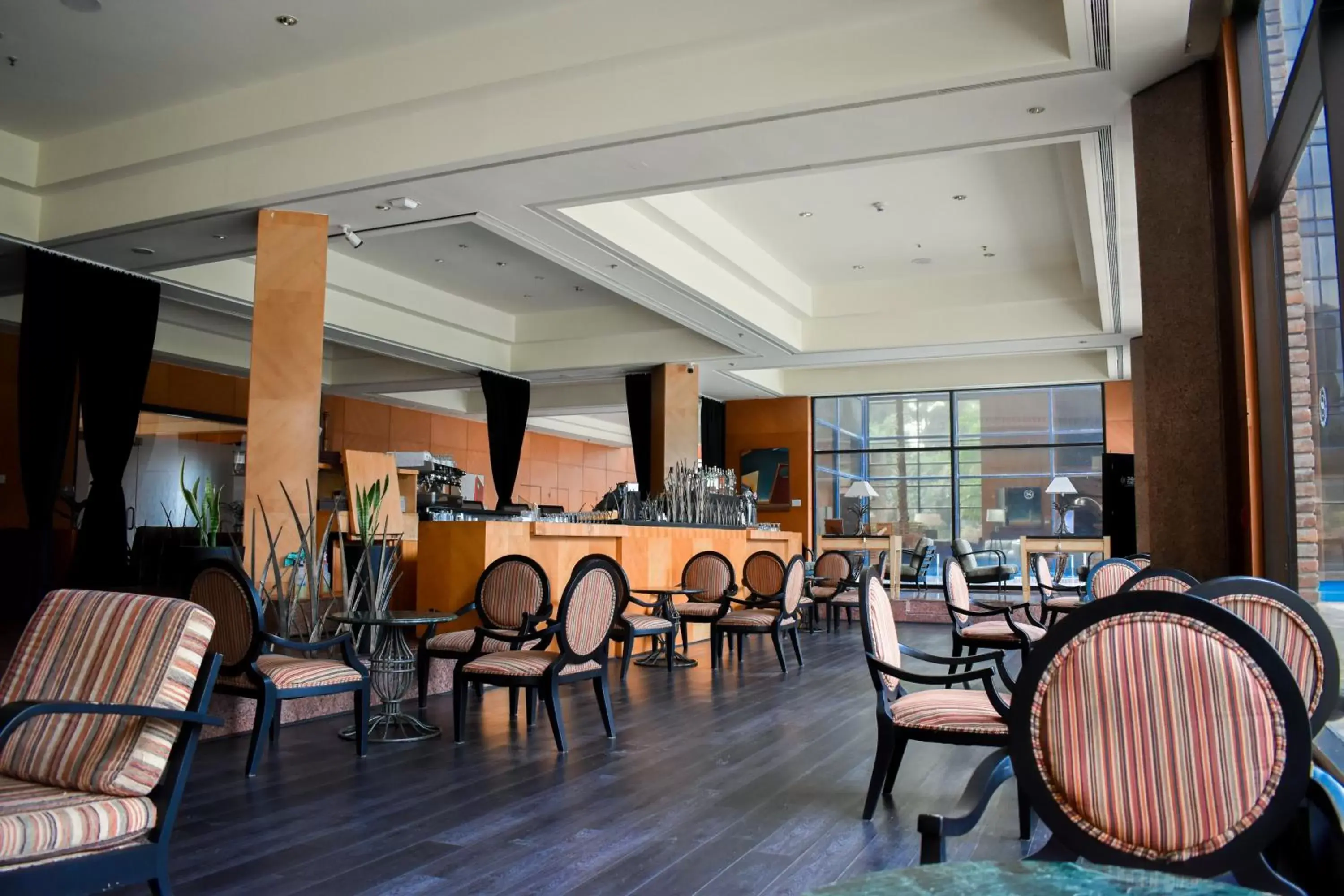 Lounge or bar, Restaurant/Places to Eat in Sheraton Pilar Hotel & Convention Center