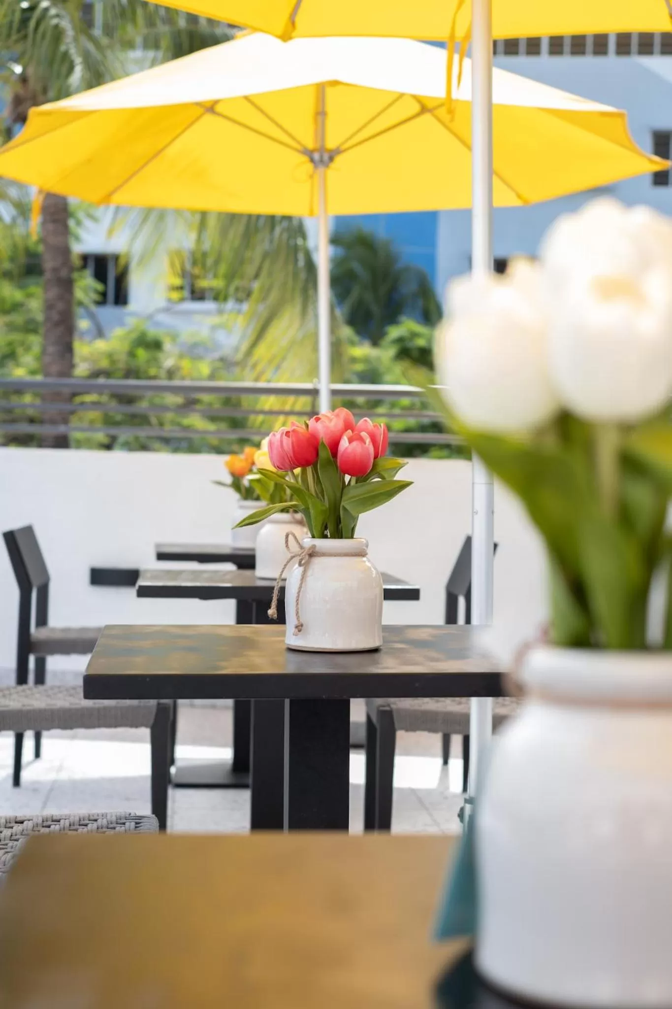 Balcony/Terrace in Fashion Boutique Hotel