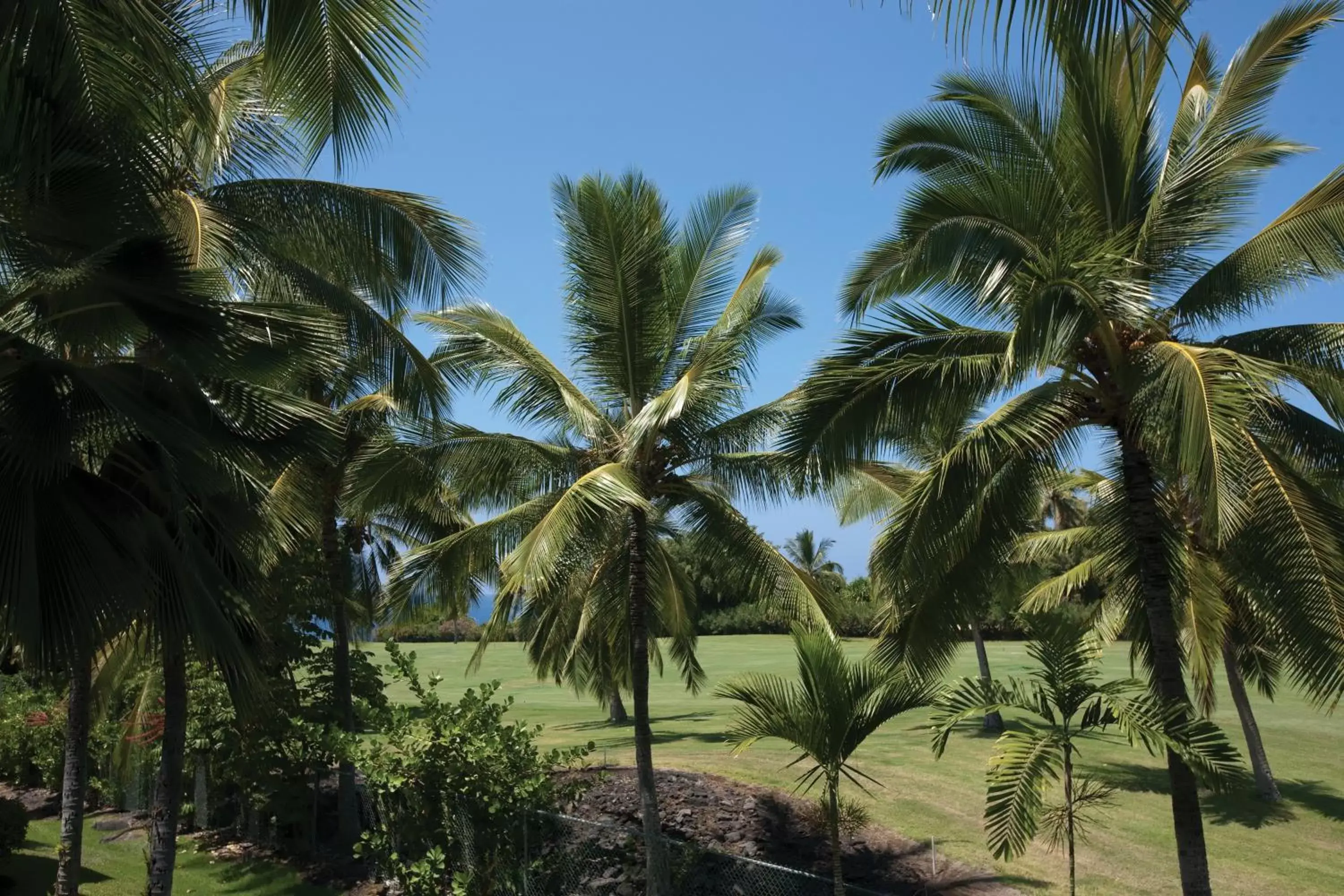 Natural landscape in Holua Resort