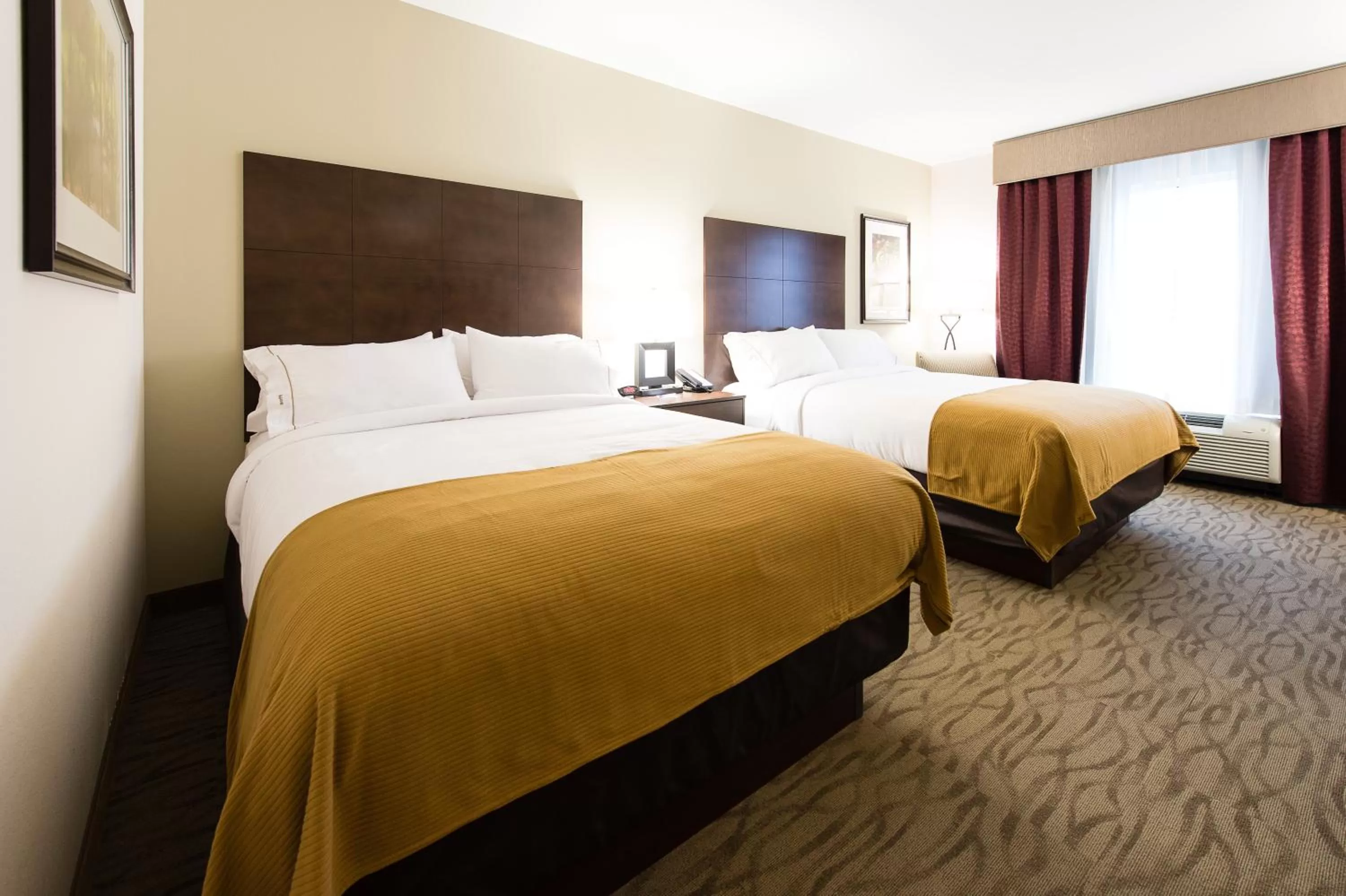 Twin Room - Hearing Accessible in Holiday Inn Express & Suites Aiken, an IHG Hotel