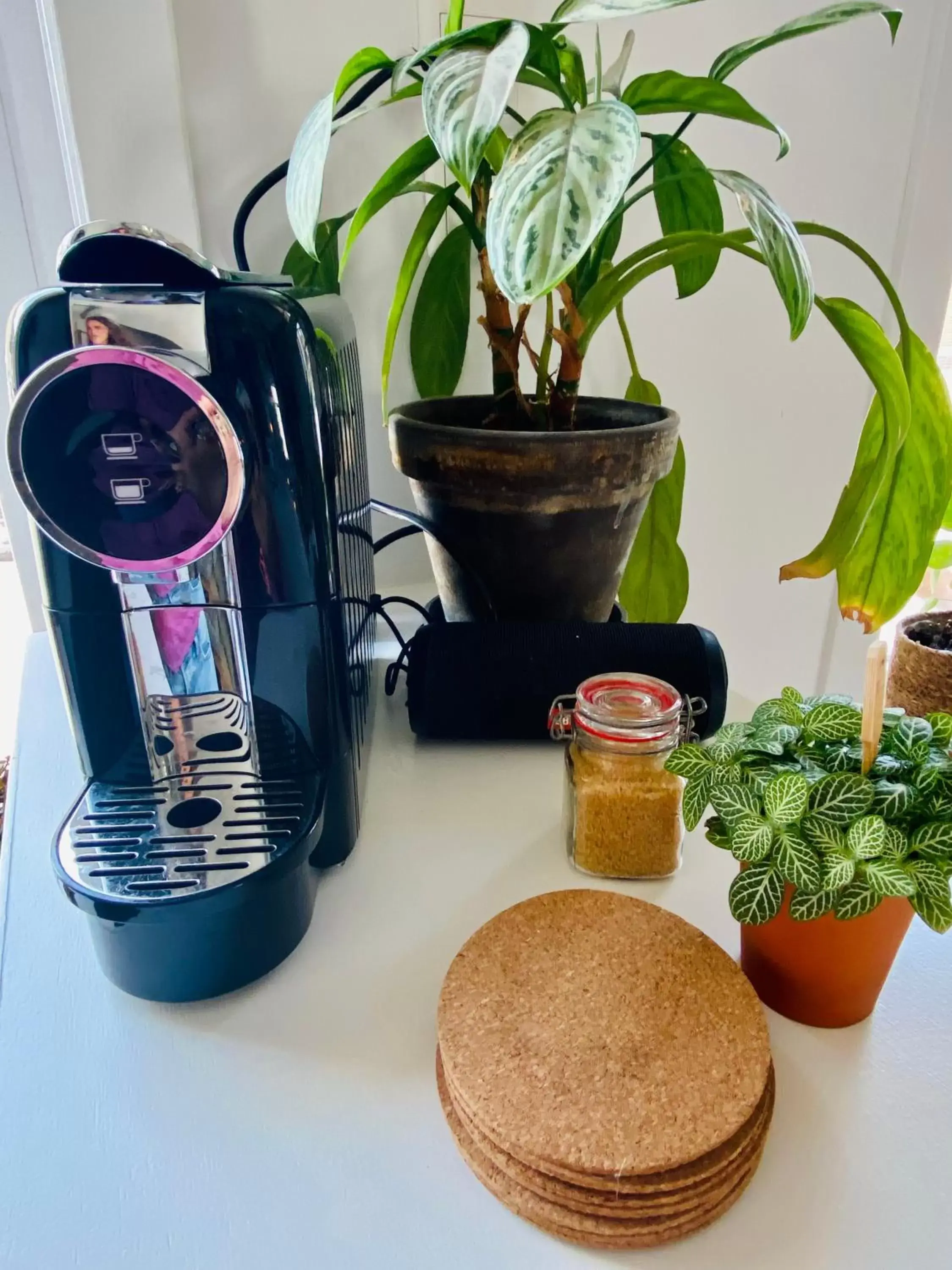 Coffee/tea facilities in Tiny Beachhouse