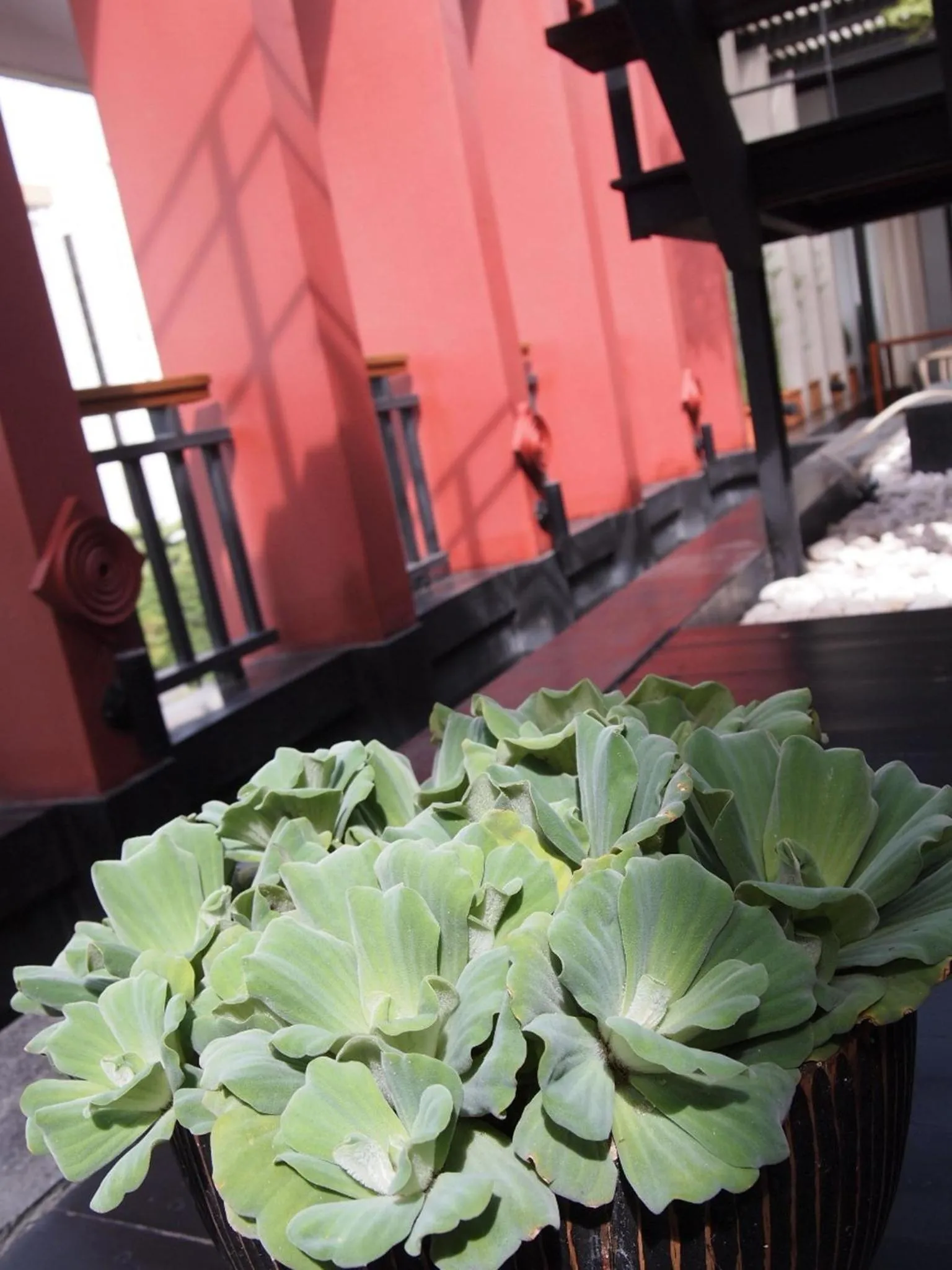 Decorative detail in Loogchoob Homestay