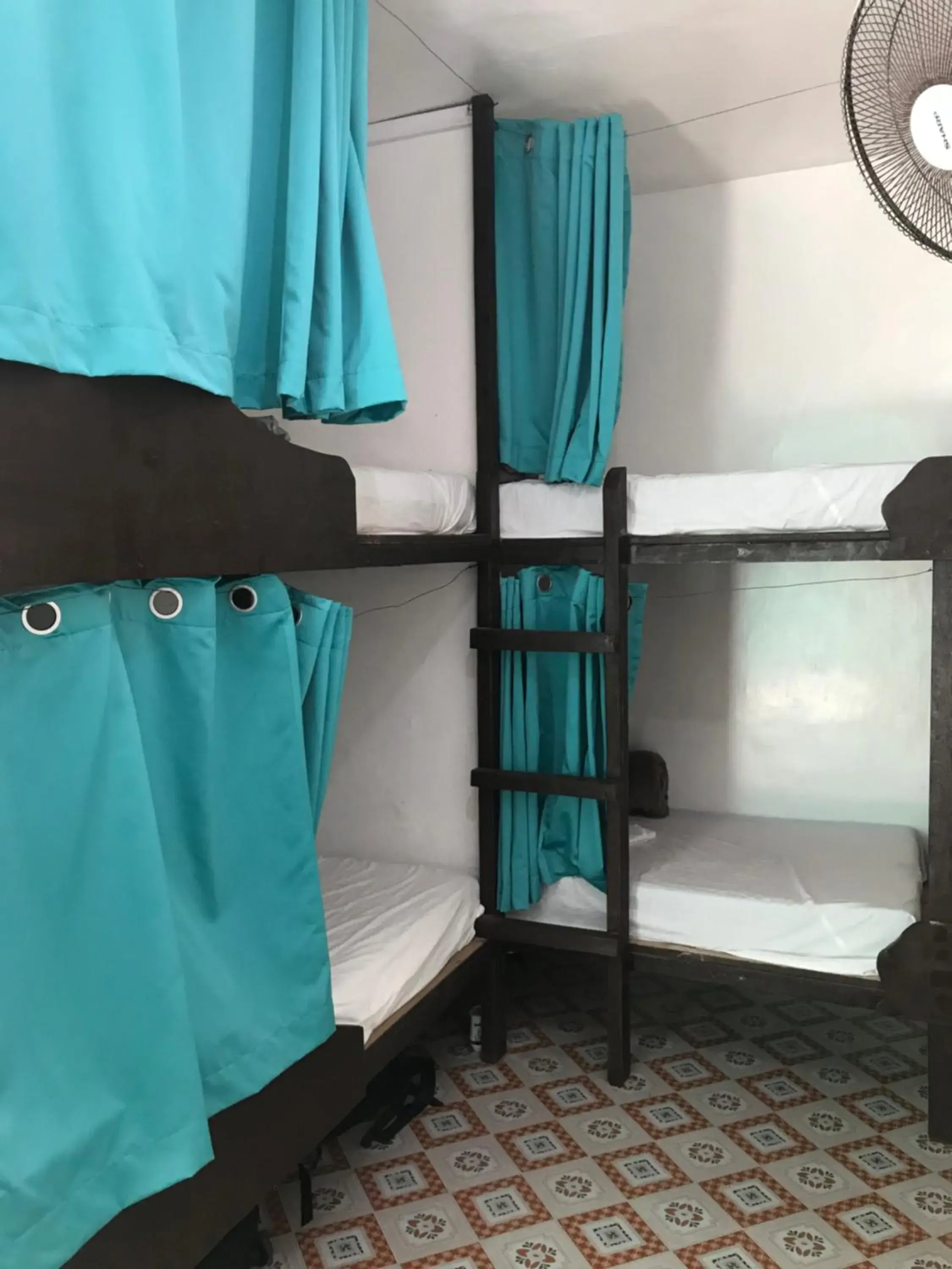 Photo of the whole room, Bunk Bed in Malapascua Budget Inn
