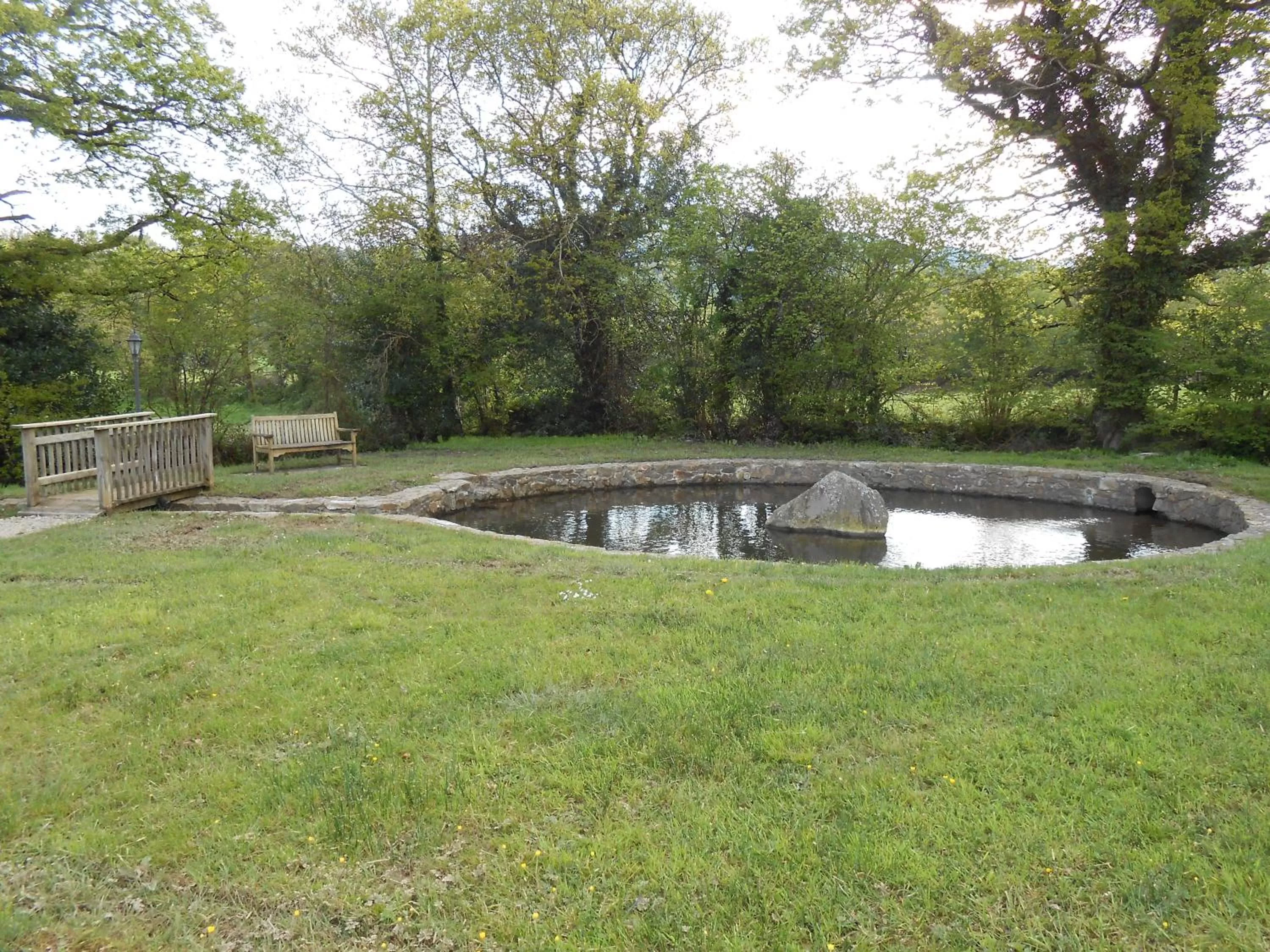 Garden in Birchdale House B&B