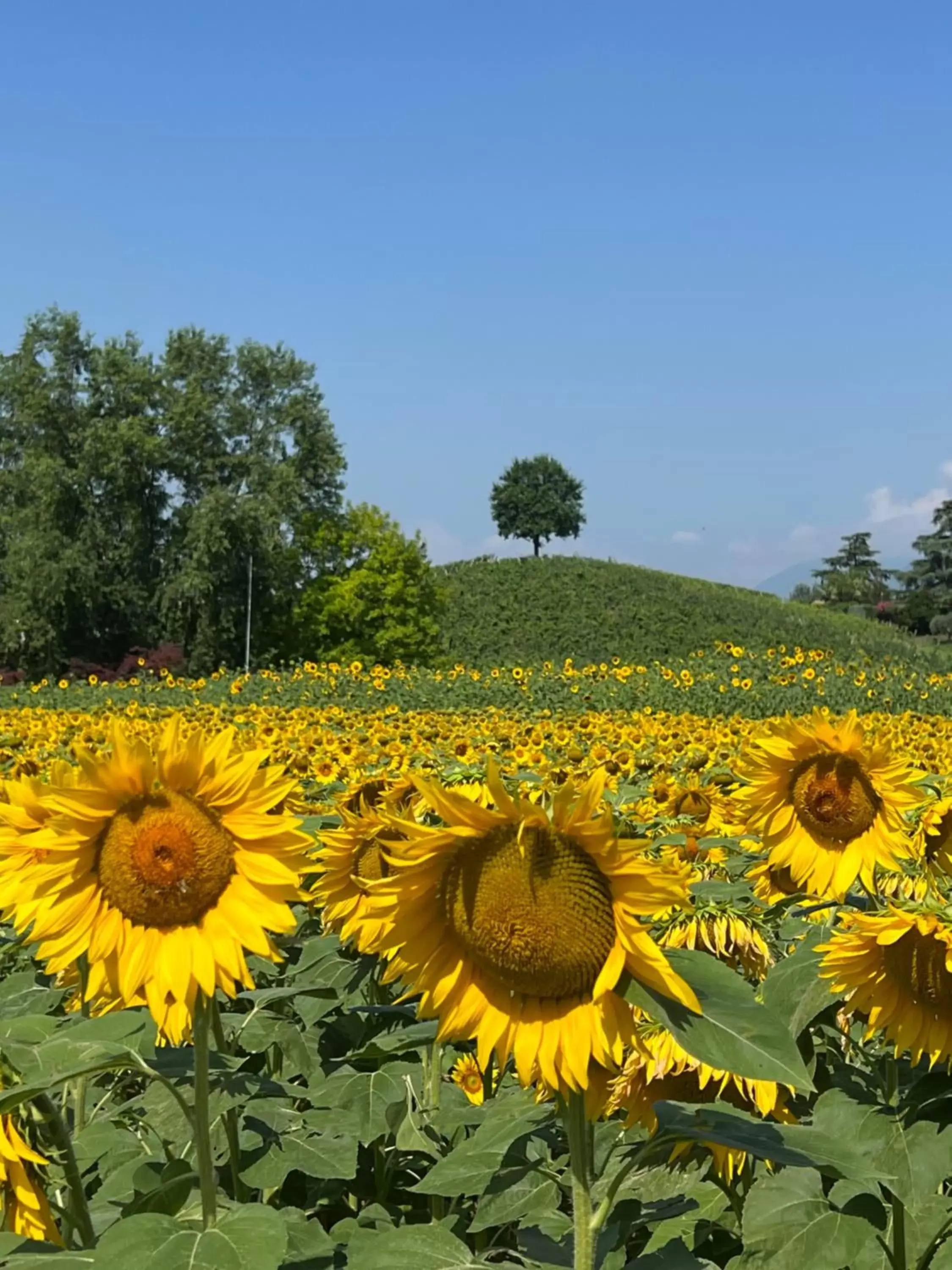 Borghetto San Biagio Relais Agriturismo