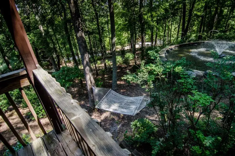 View (from property/room) in Asheville Cabins of Willow Winds