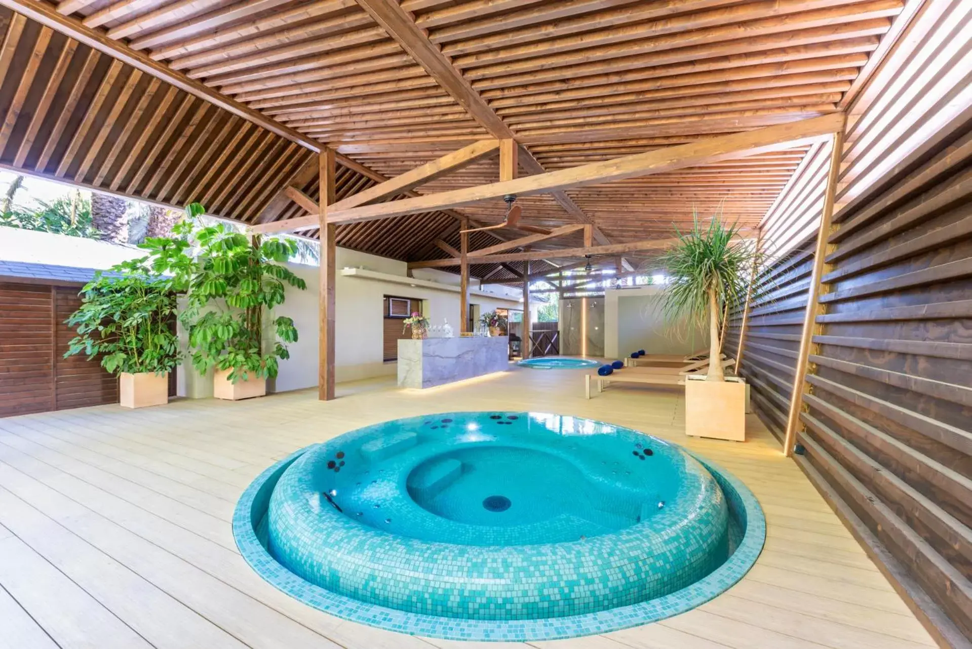 Hot Tub, Swimming Pool in Huerto del Cura