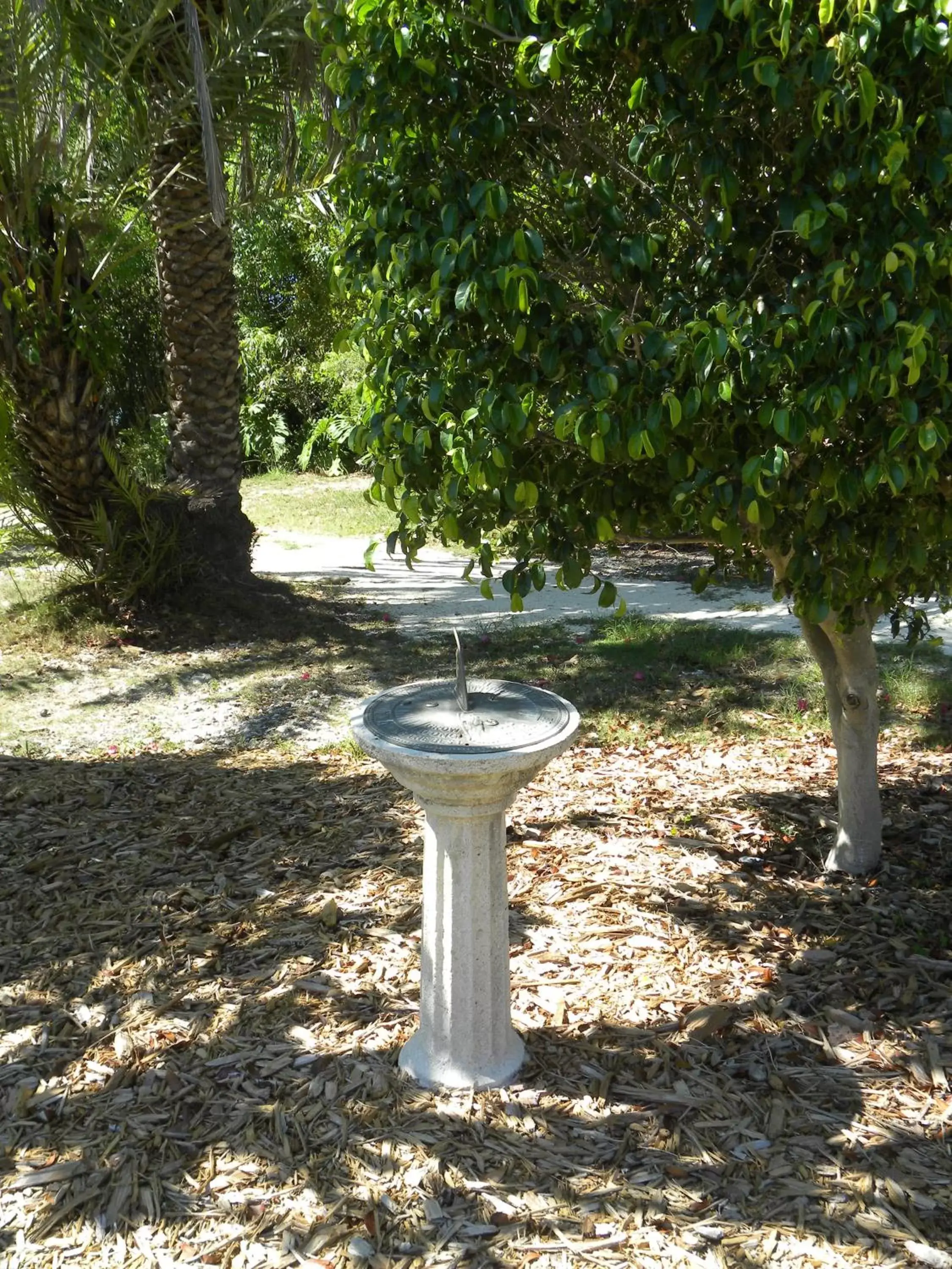 Garden in Rock Reef Resort