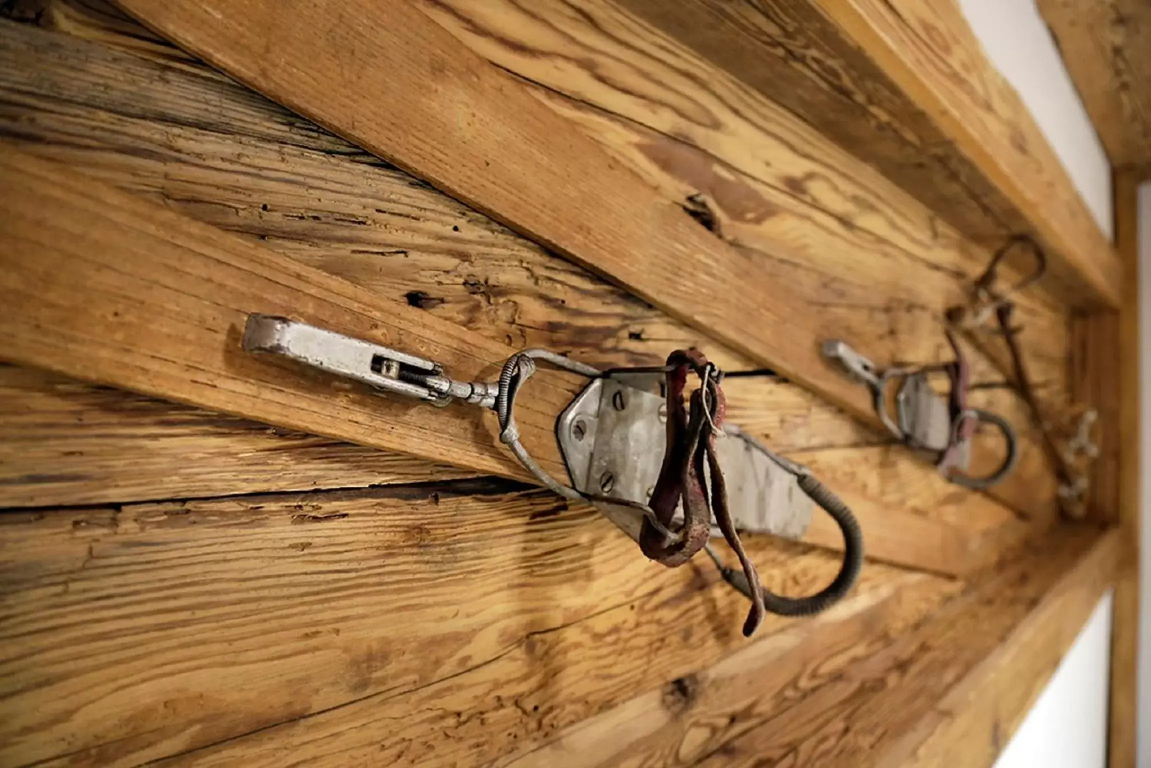 Decorative detail, Other Animals in Amber Ski-in/out Hotel & Spa