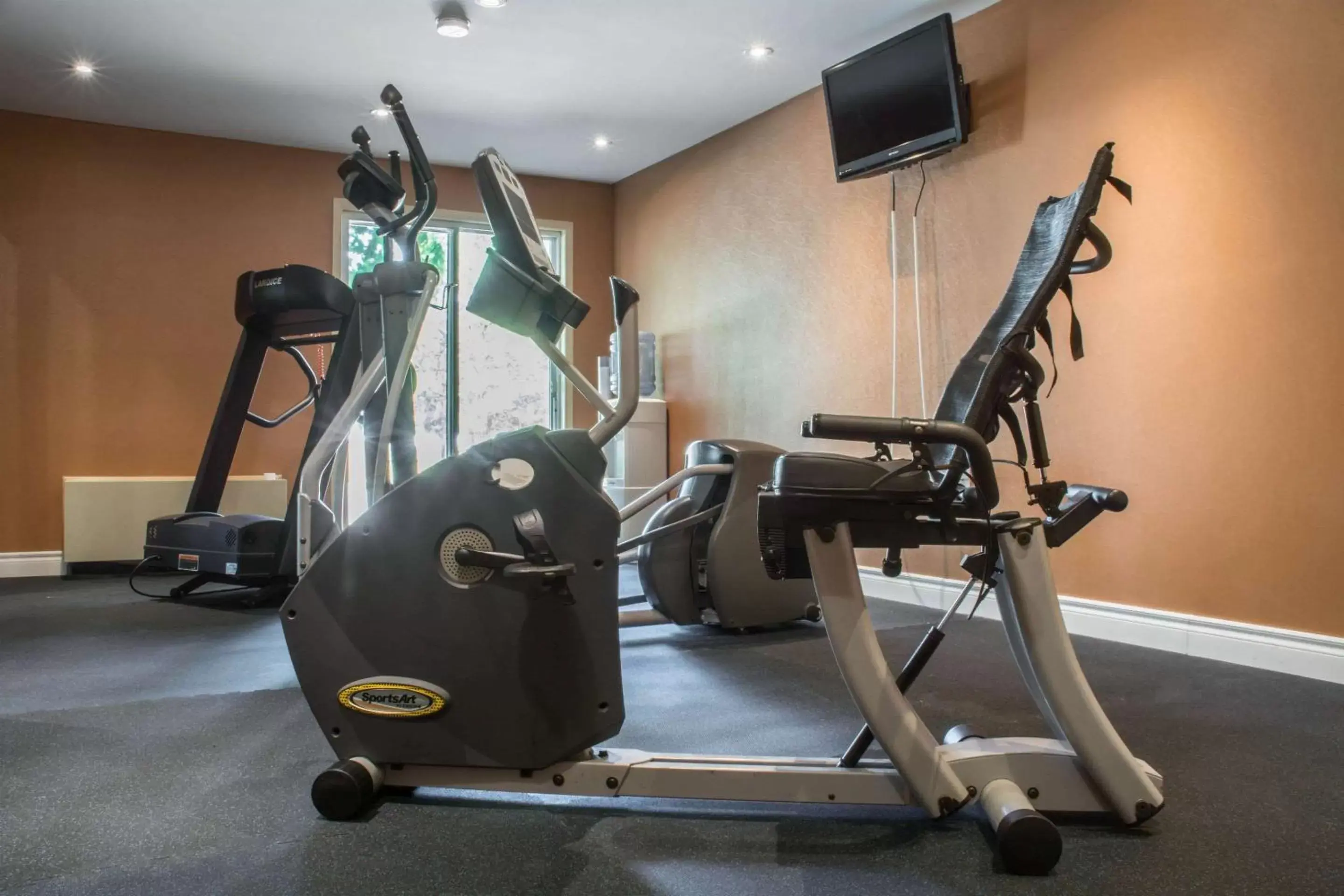 Fitness centre/facilities, Fitness Center/Facilities in Comfort Inn and Suites Ingersoll