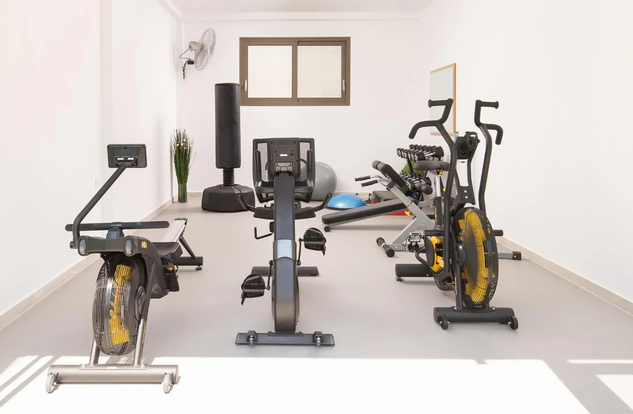 Fitness centre/facilities, Fitness Center/Facilities in Flegra Palace