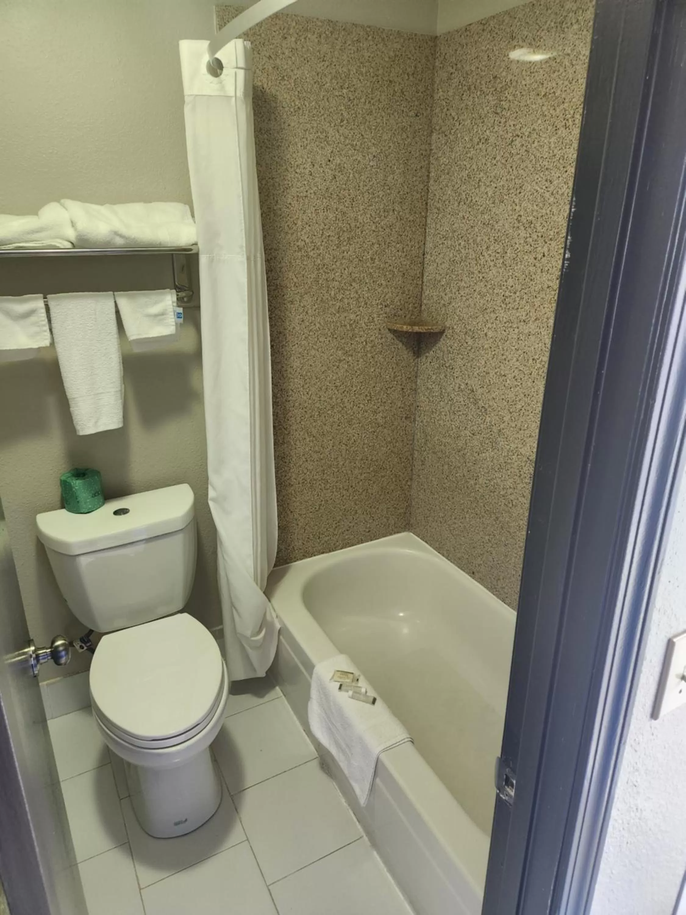 Bathroom in Days Inn by Wyndham Dahlonega University Area