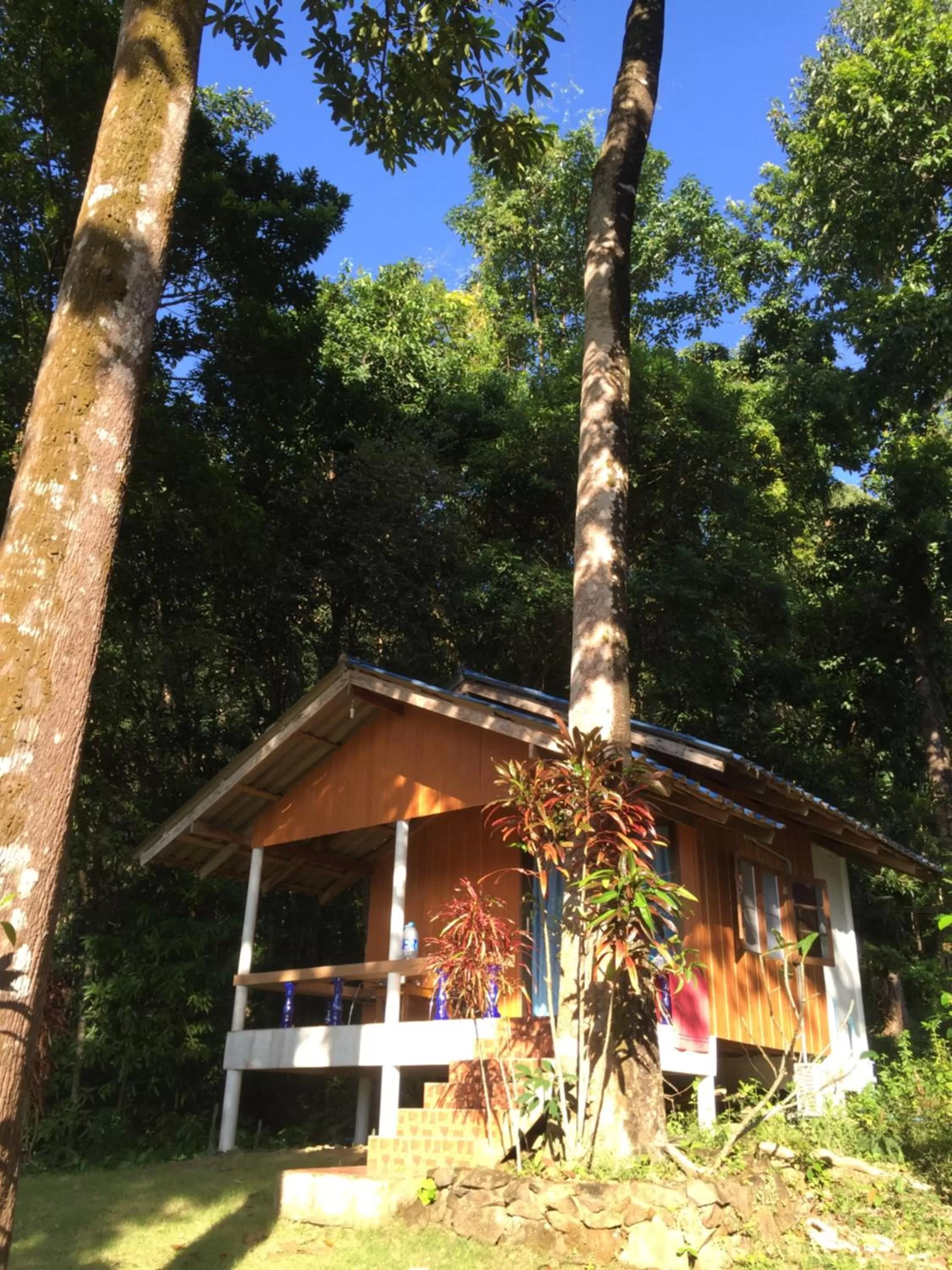 Garden view in Elephant & Castle