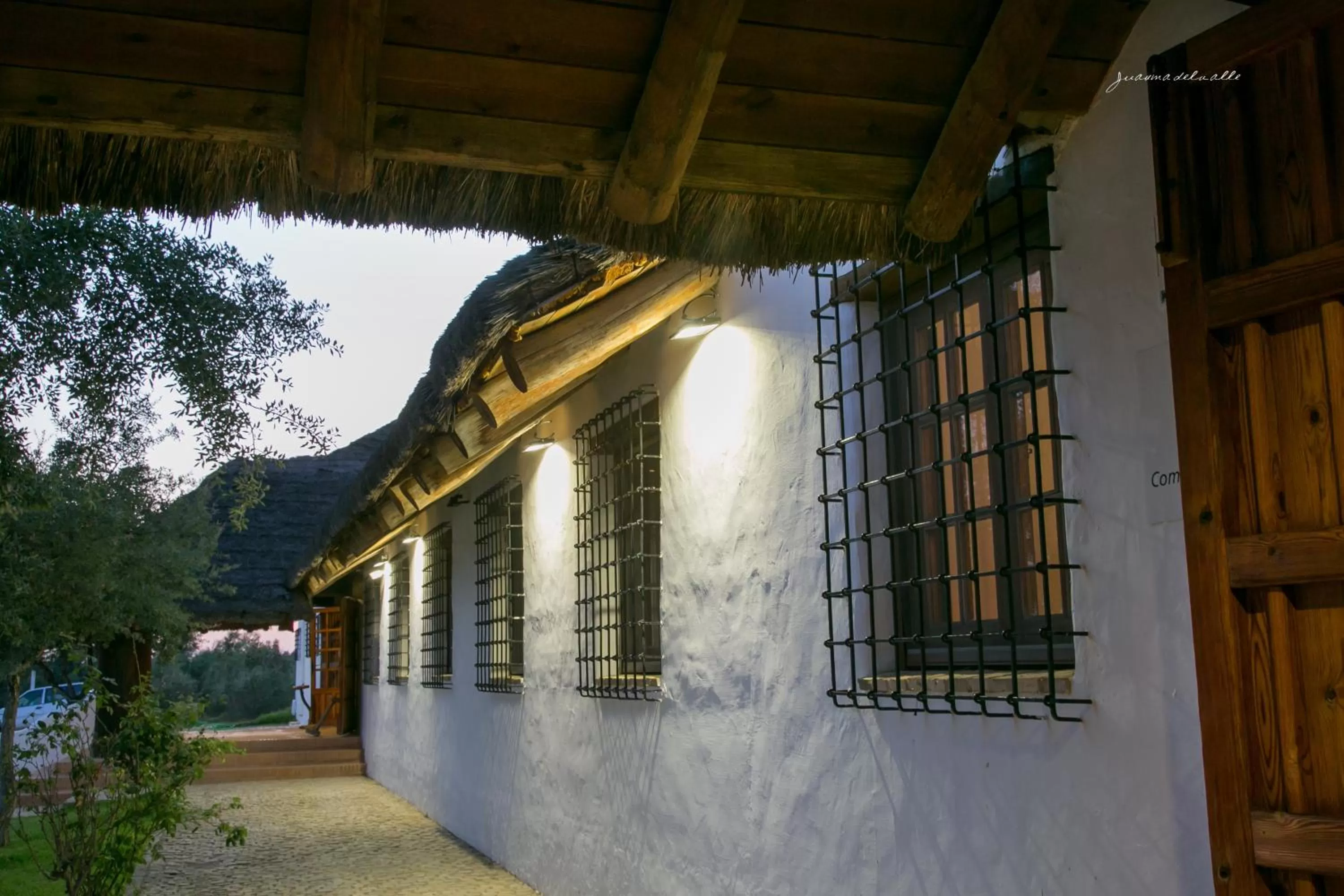 Off site in Ardea Purpurea