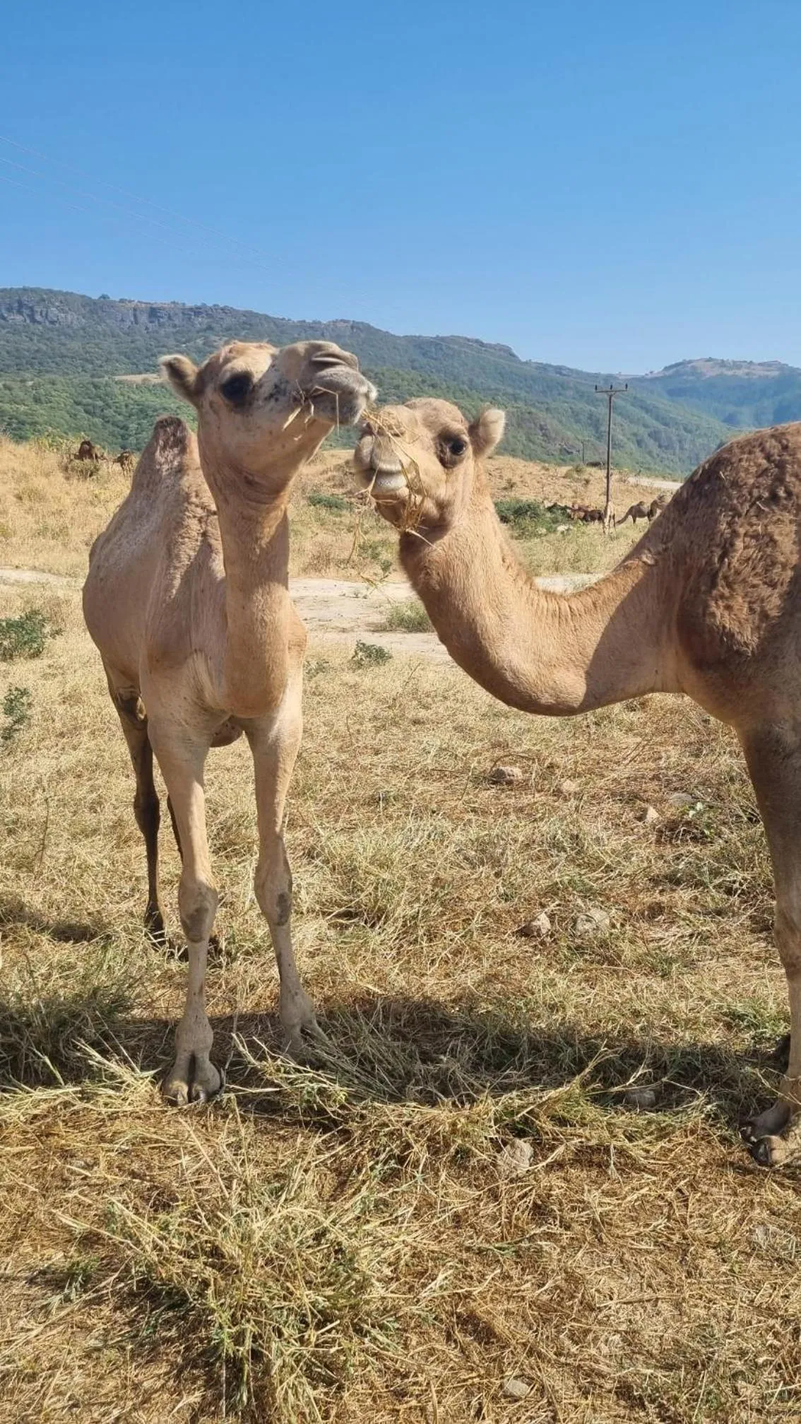 Neighbourhood in Gateway Salalah hotel apartments