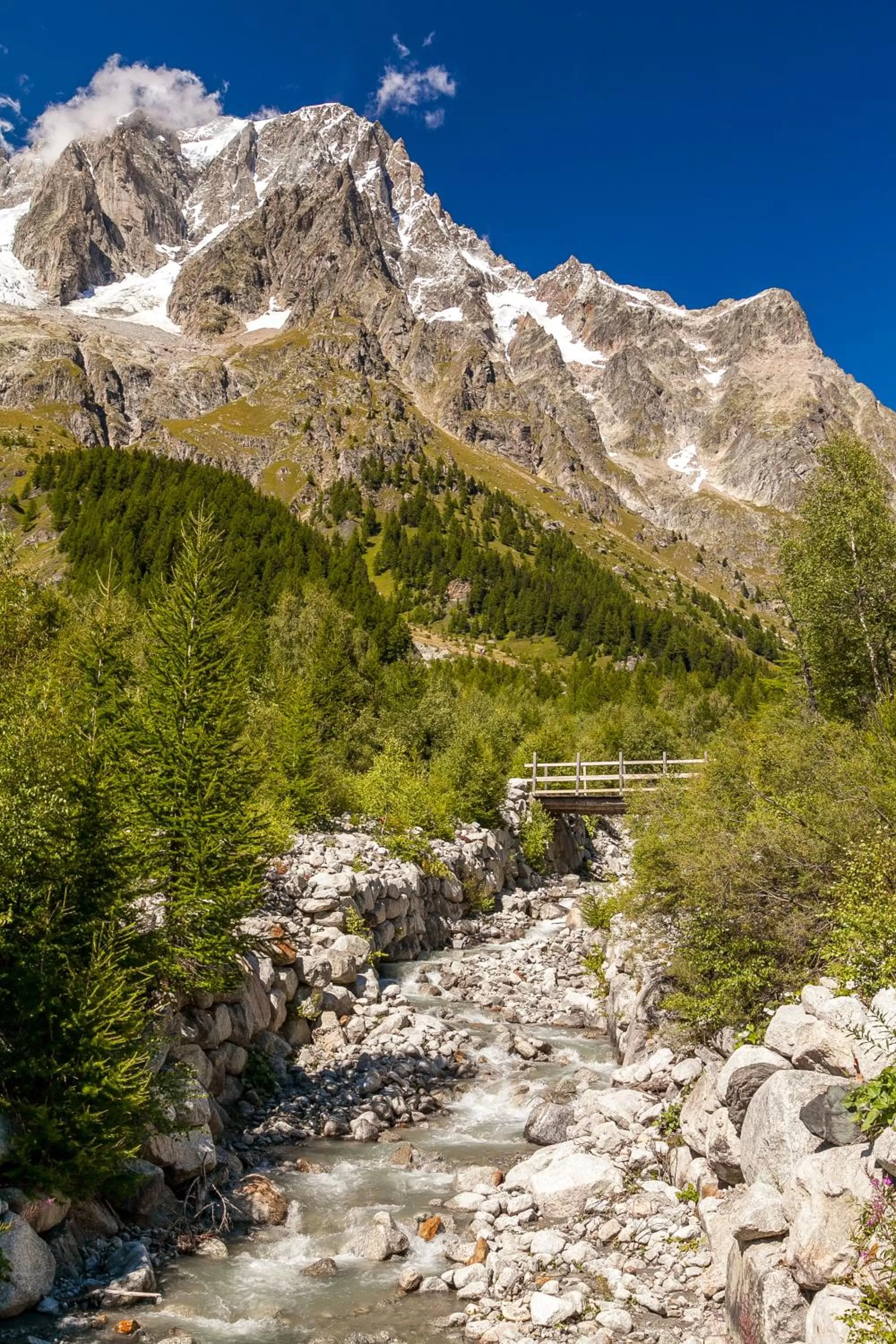 Area and facilities in Hotel Lo Scoiattolo