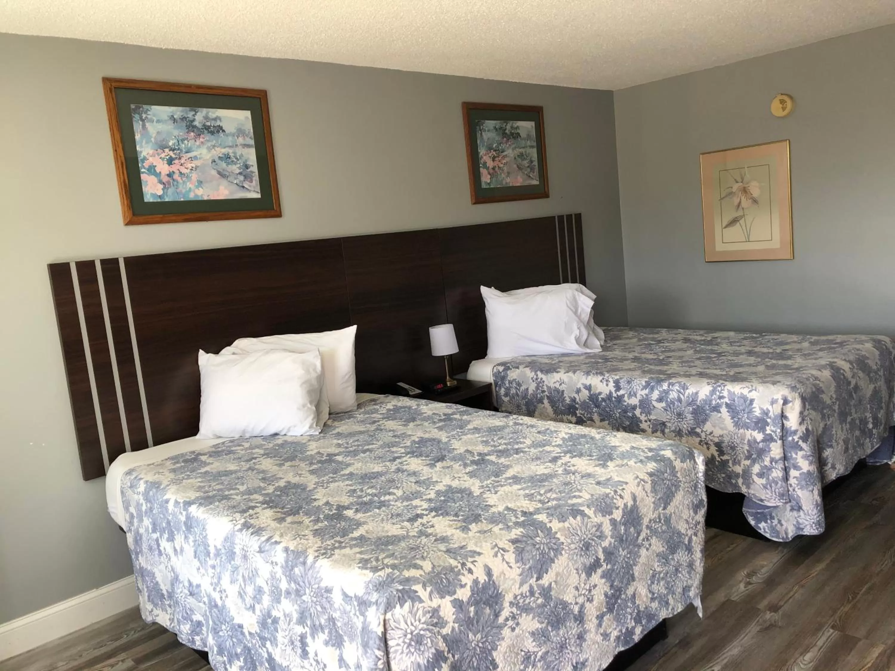 Bed in Budget Inn Express Bristol