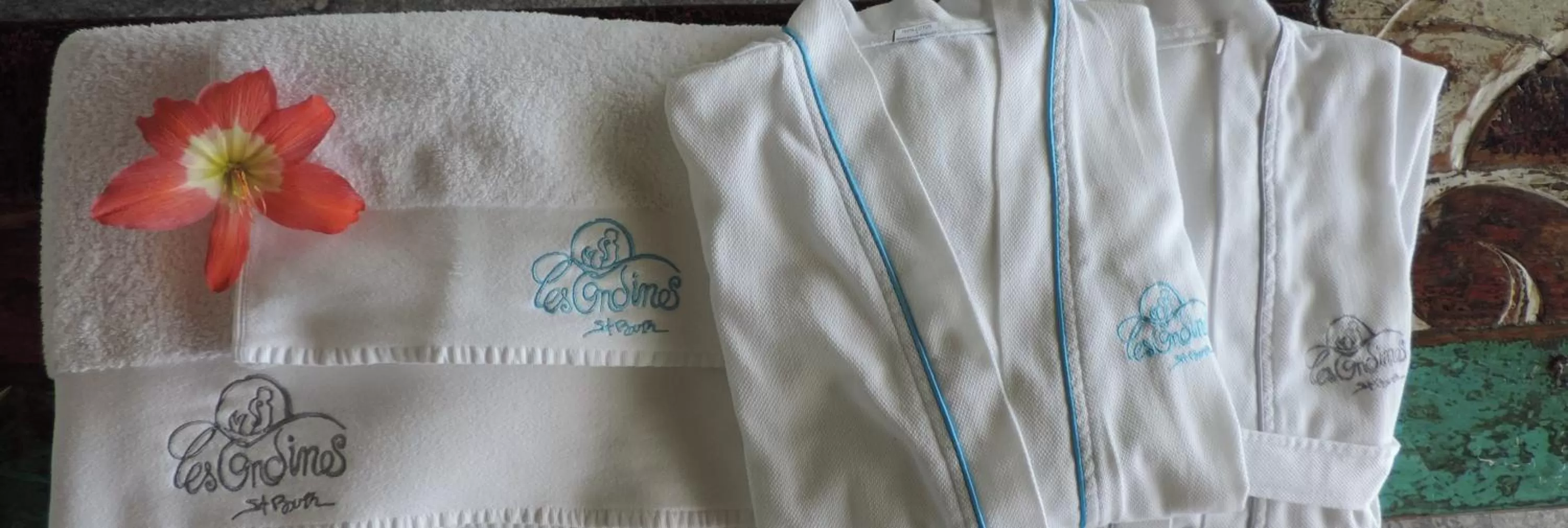 Decorative detail in Hotel Les Ondines Sur La Plage