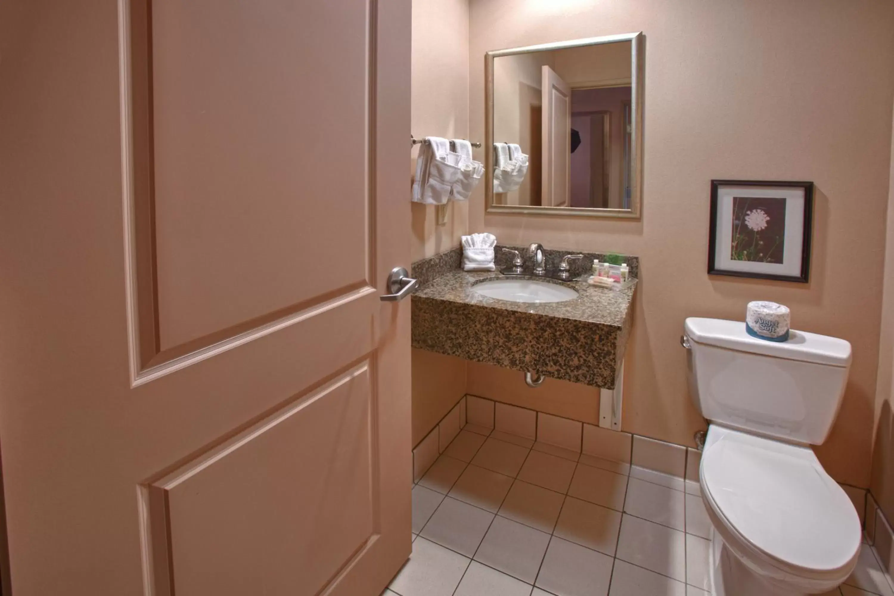 Bathroom in Holiday Inn St. Paul Northeast - Lake Elmo, an IHG Hotel