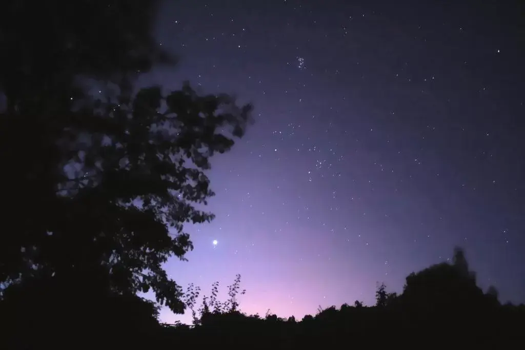 Night in L'AND Vineyards