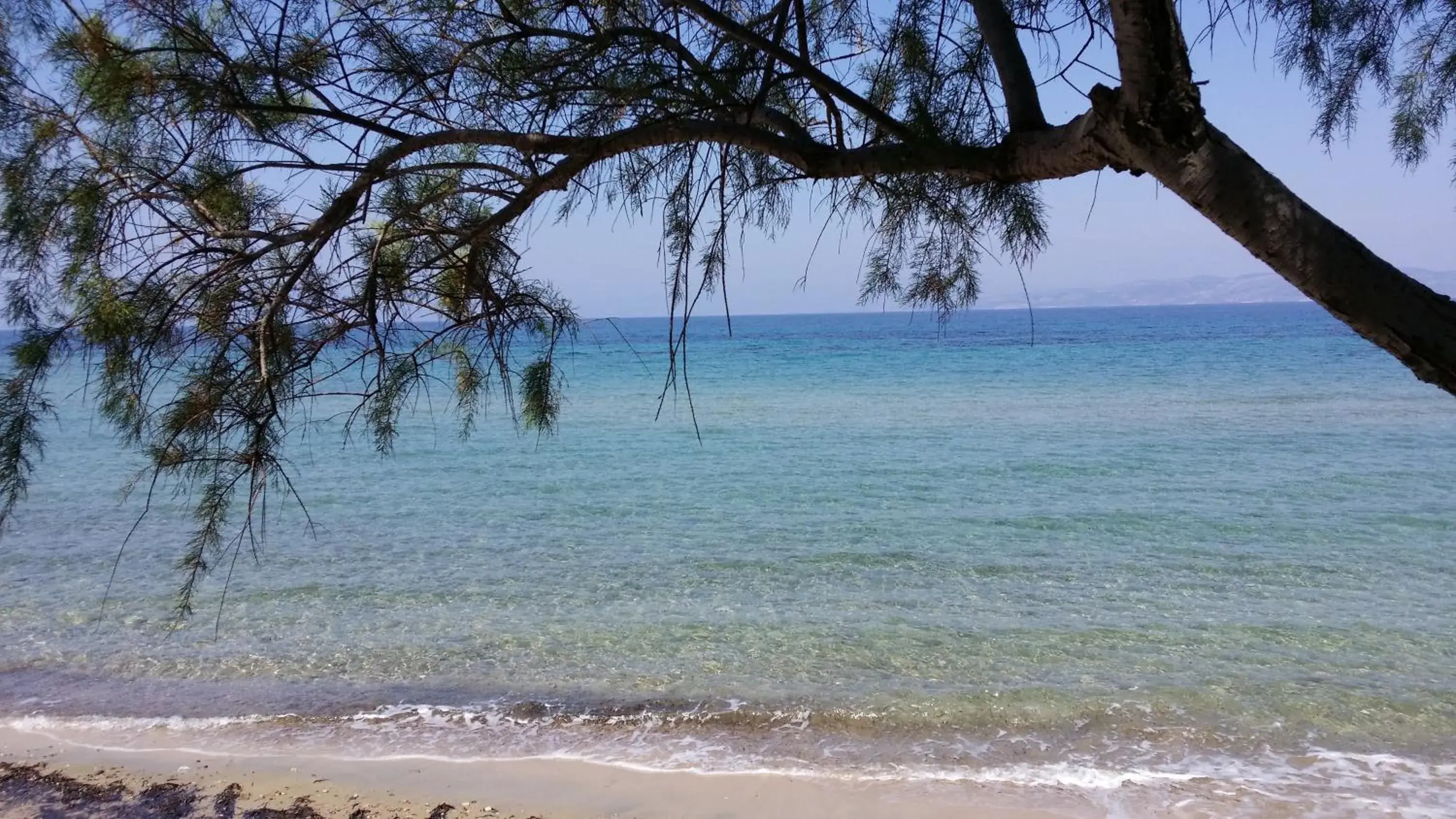 Natural landscape, Beach in Rachel Hotel