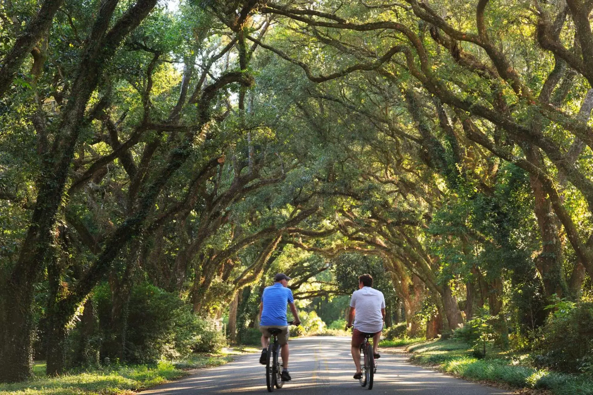 Cycling in Magnolia Springs Bed and Breakfast