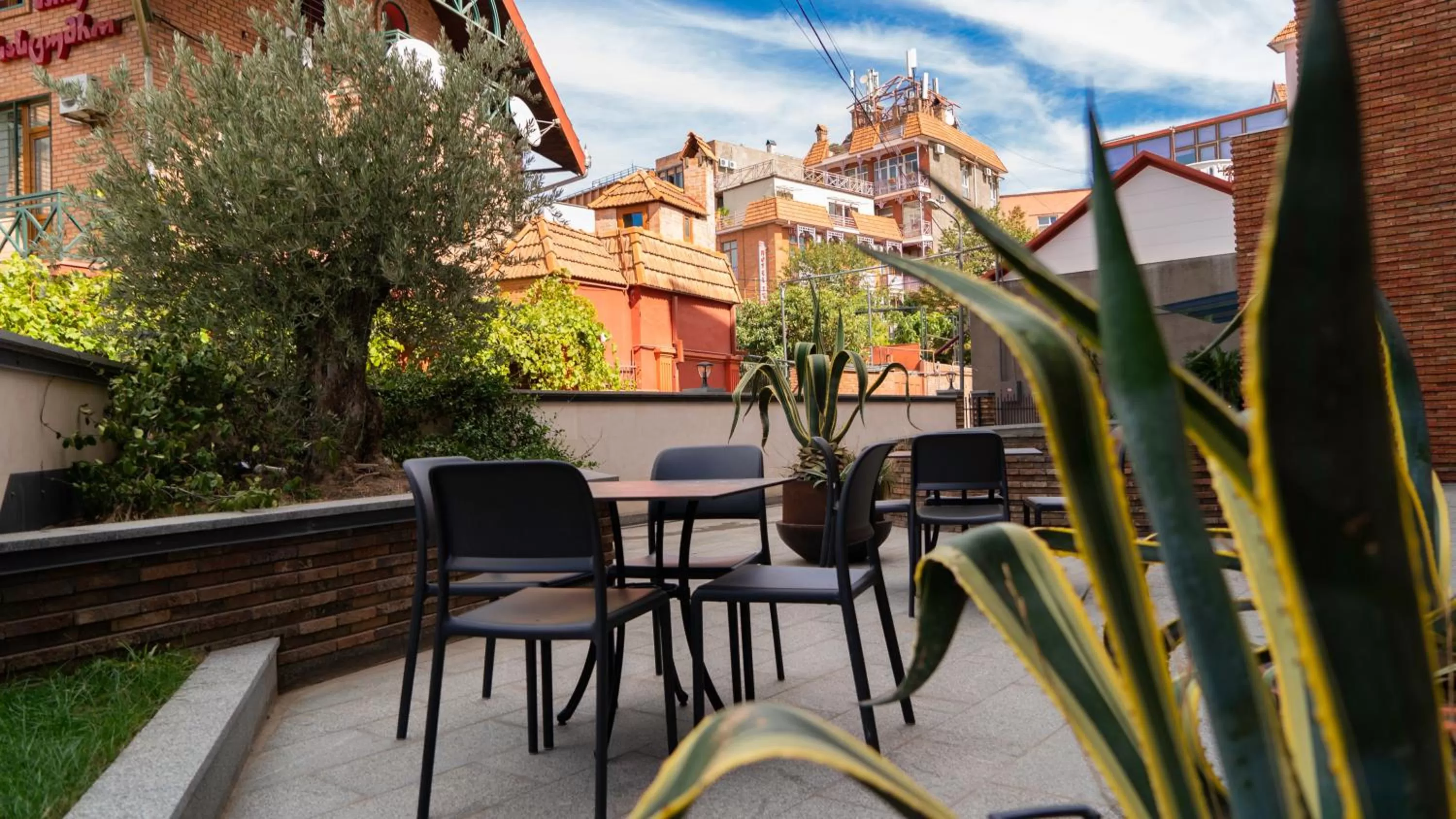 Patio in Hotel Banovani