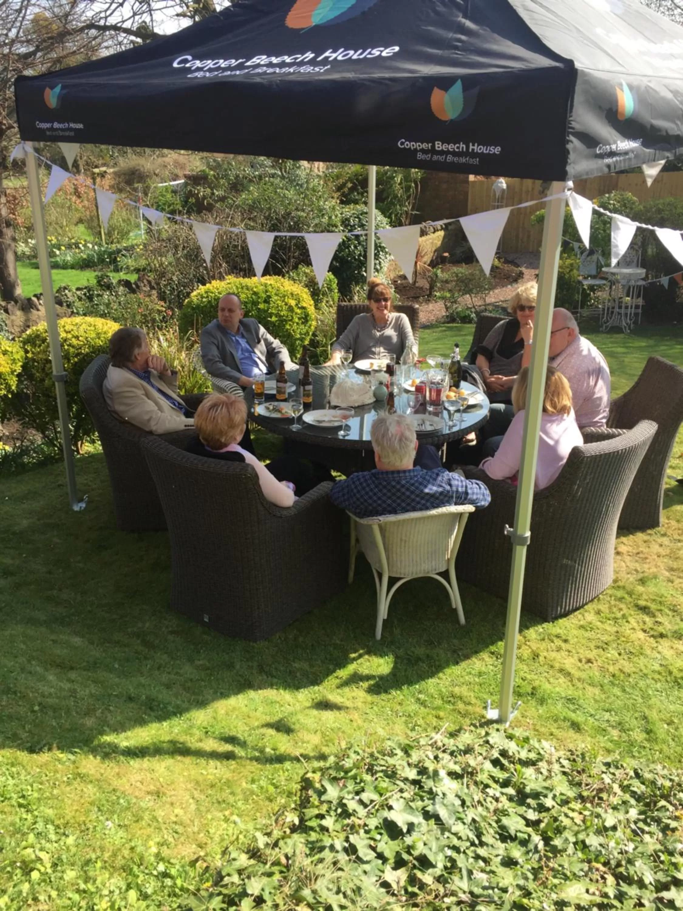 Garden in Copper Beech House