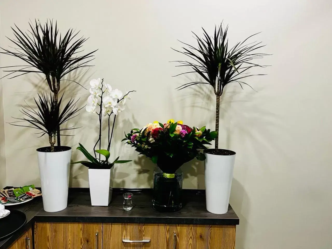 Property building in Bristol Hotel Tashkent Property building in Bristol Hotel Tashkent