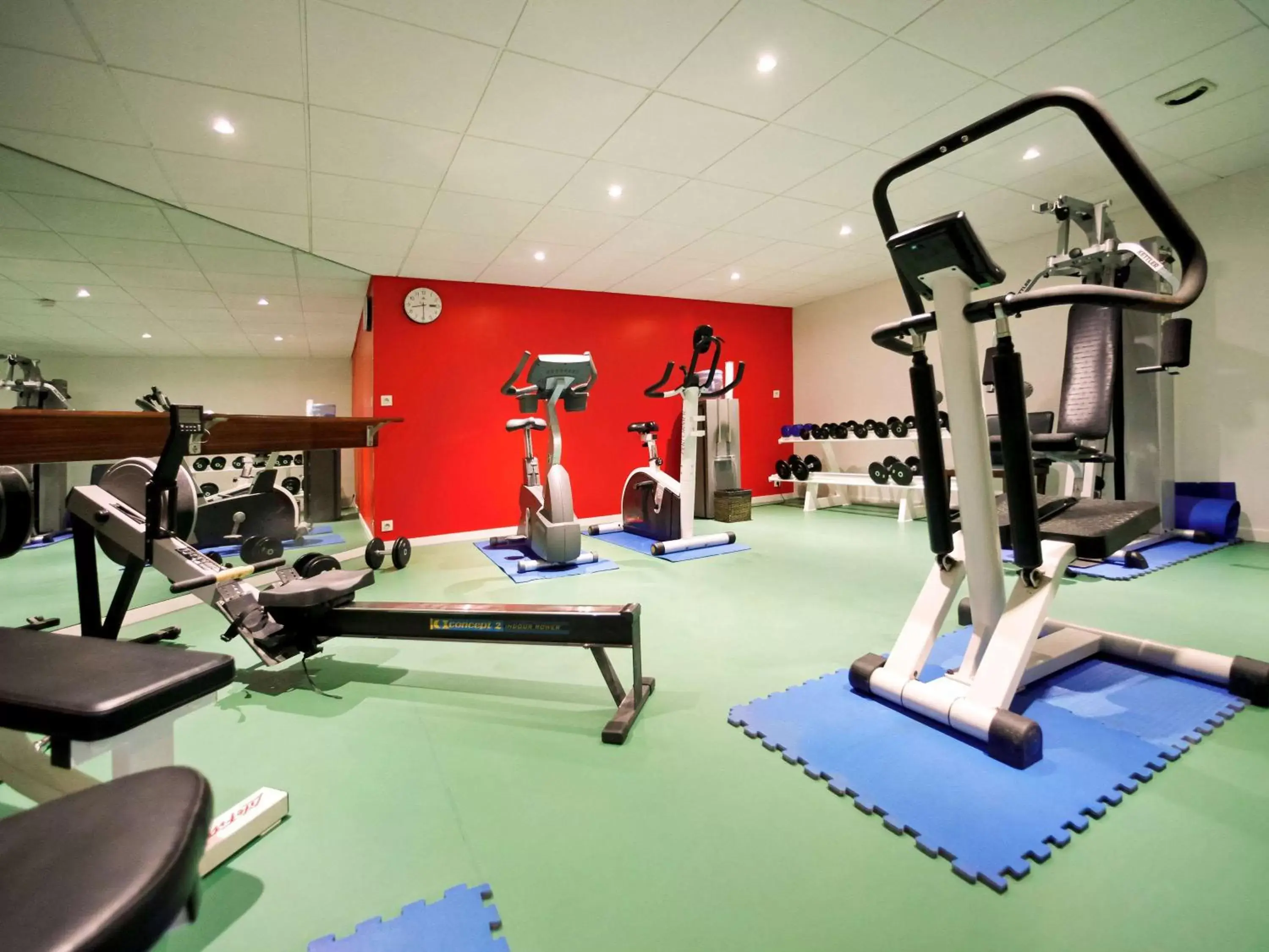 Fitness centre/facilities, Fitness Center/Facilities in Hotel Mercure Grenoble Centre Président