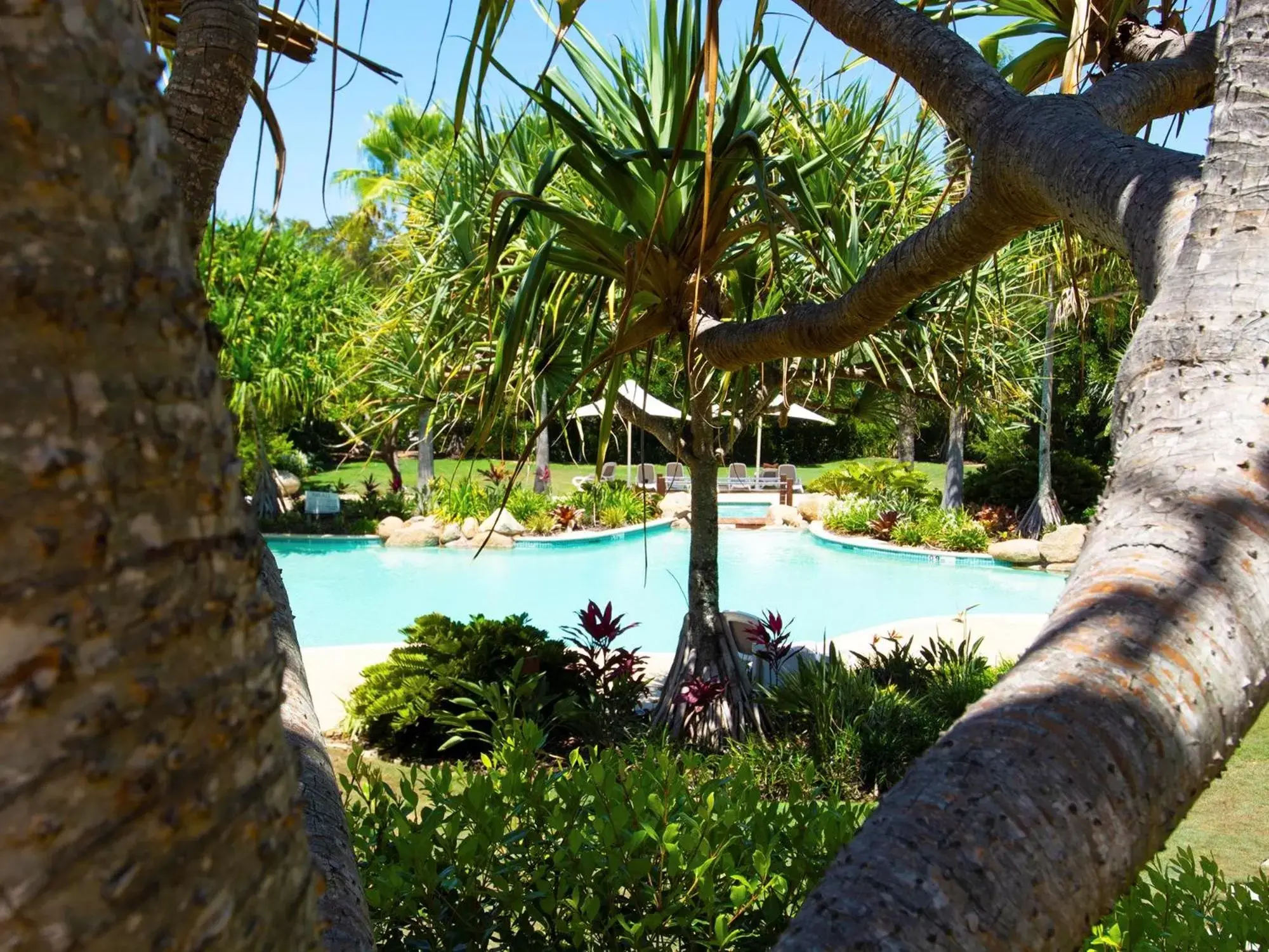 Swimming Pool in Cotton Beach Resort - Tweed Coast Holidays ®
