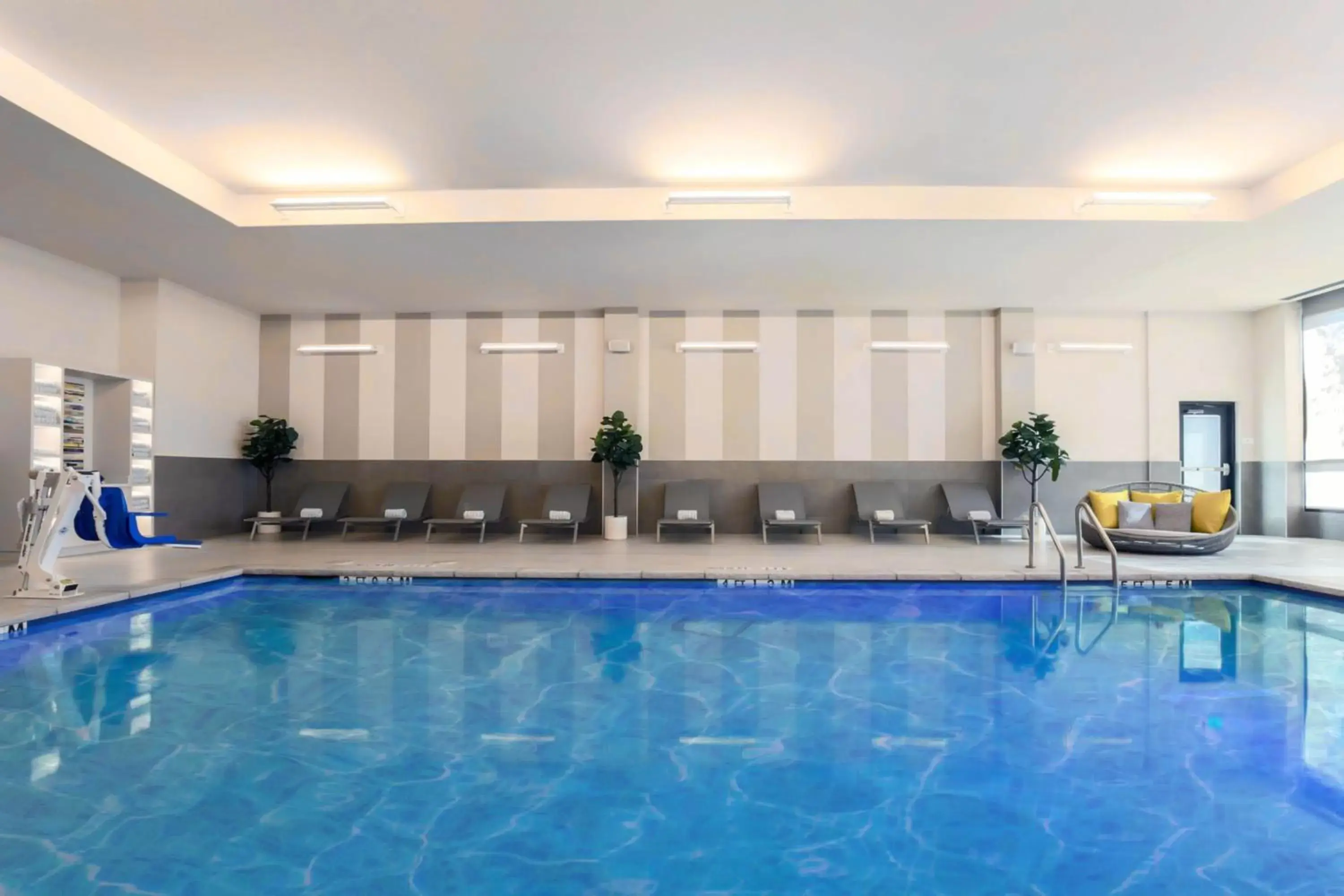 Swimming Pool in AC Hotel by Marriott Dallas Frisco