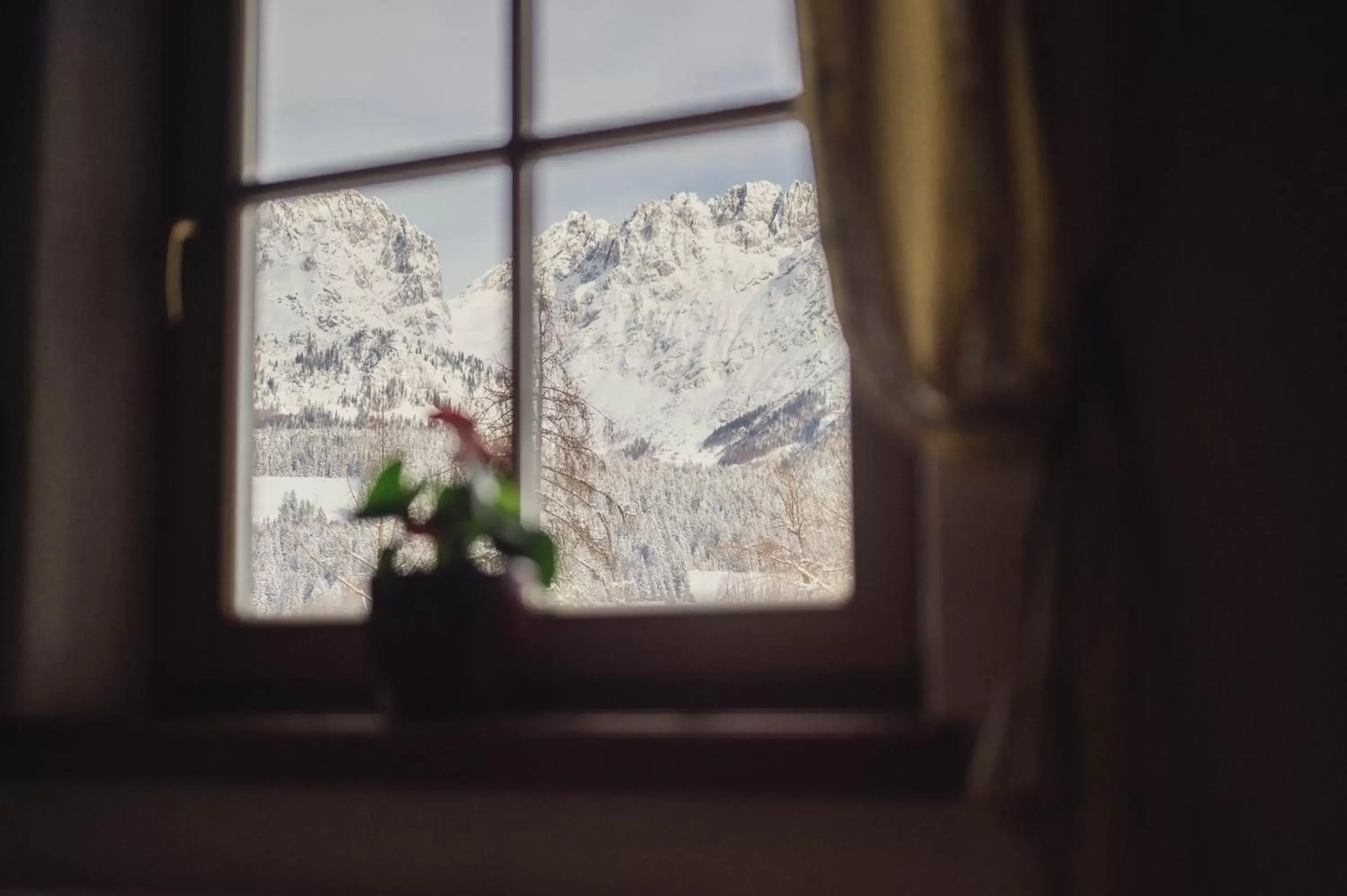 Mountain view, Winter in Sporthotel Ellmau in Tirol