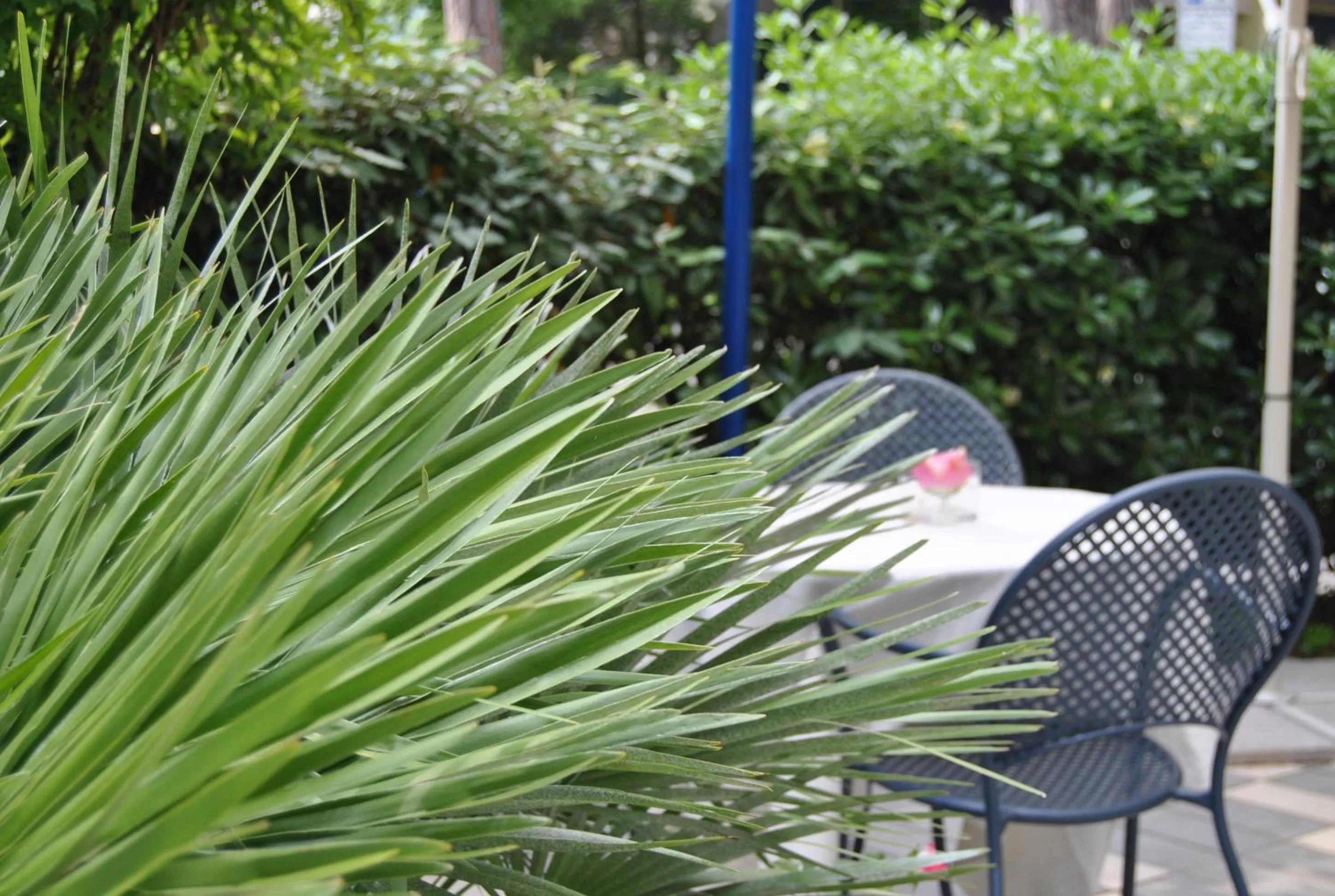 Restaurant/places to eat in Hotel Augustus