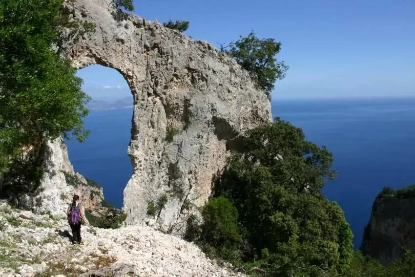 Natural Landscape in B&B Sa Clarera