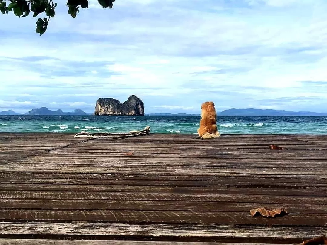 View (from property/room) in Thanya Beach Resort - SHA Plus