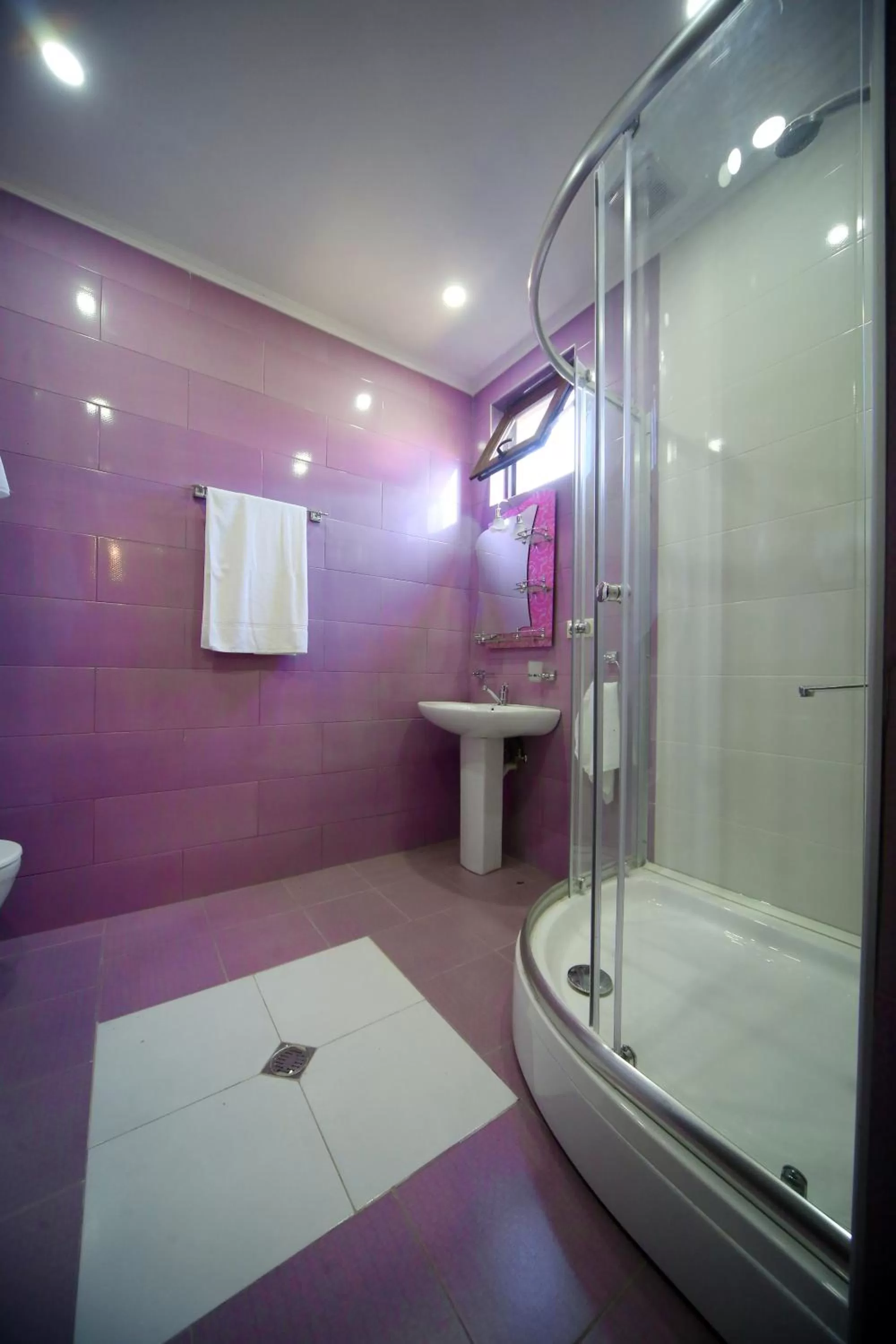 Balcony/Terrace, Bathroom in Hotel Harmony