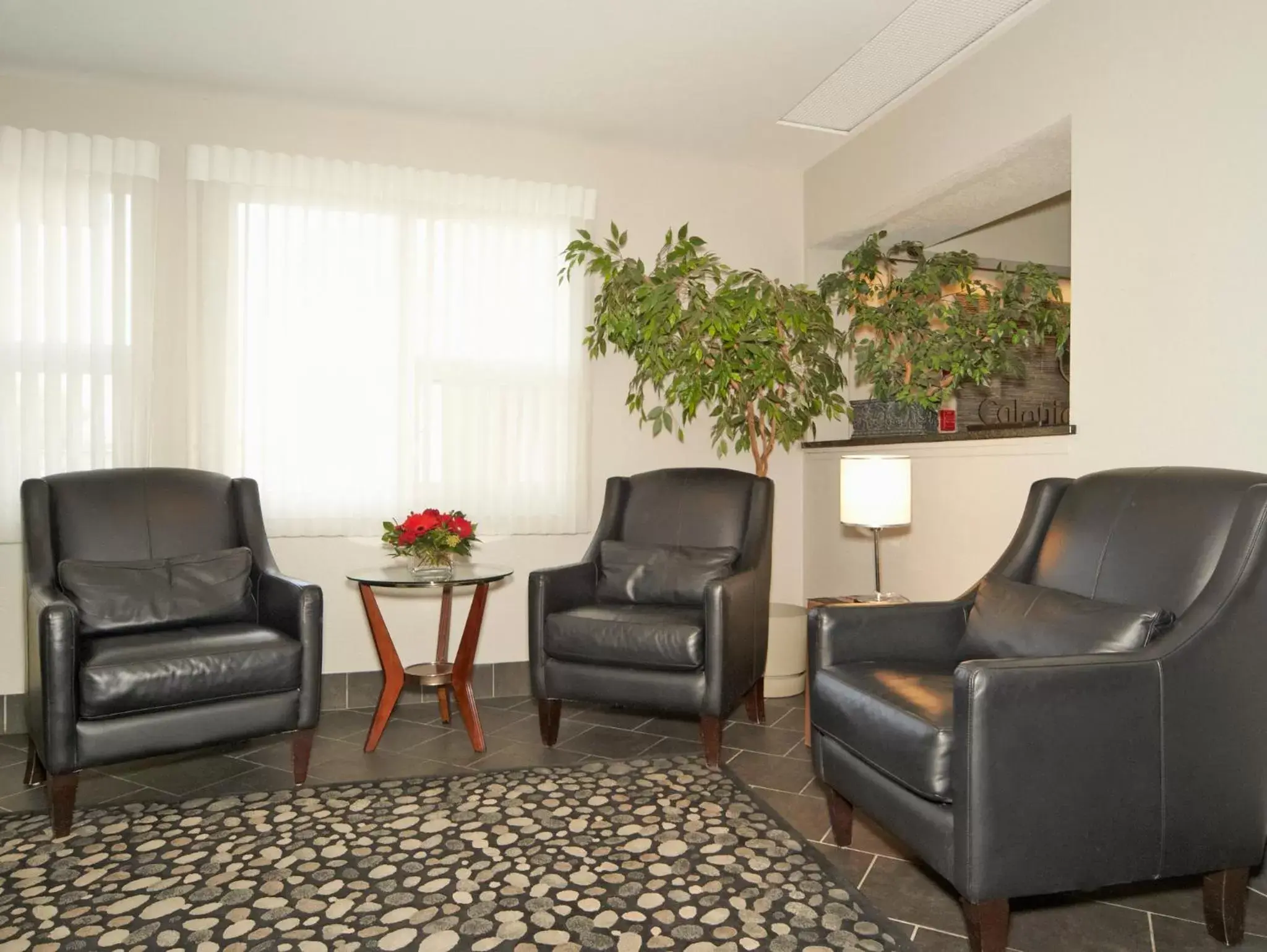 Lobby or reception, Seating Area in Colonial Square Inn & Suites