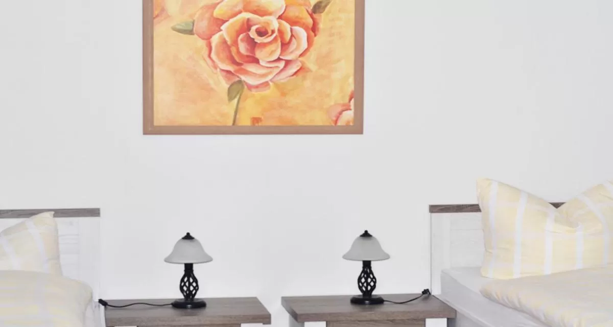 Economy Twin Room in Hotel Pension Petra