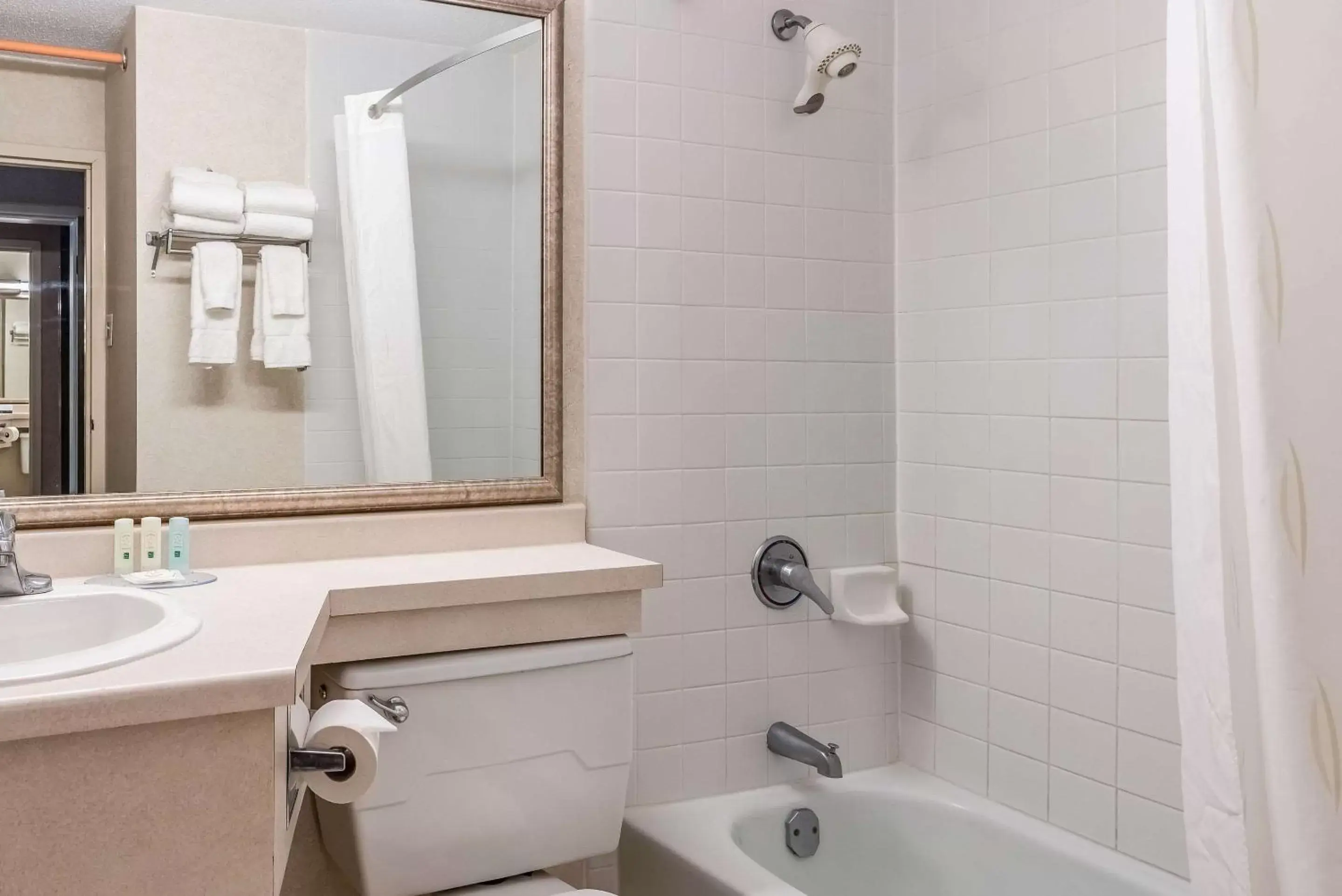 Bathroom in Quality Inn & Suites