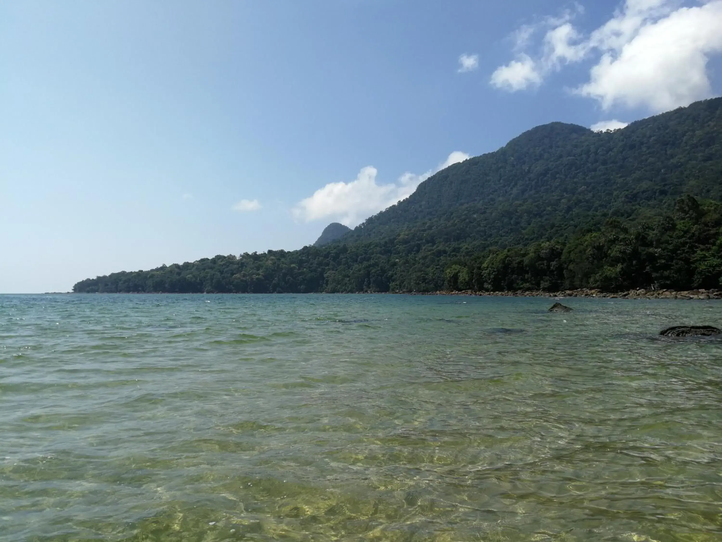 Day, Natural Landscape in Permai Rainforest Resort