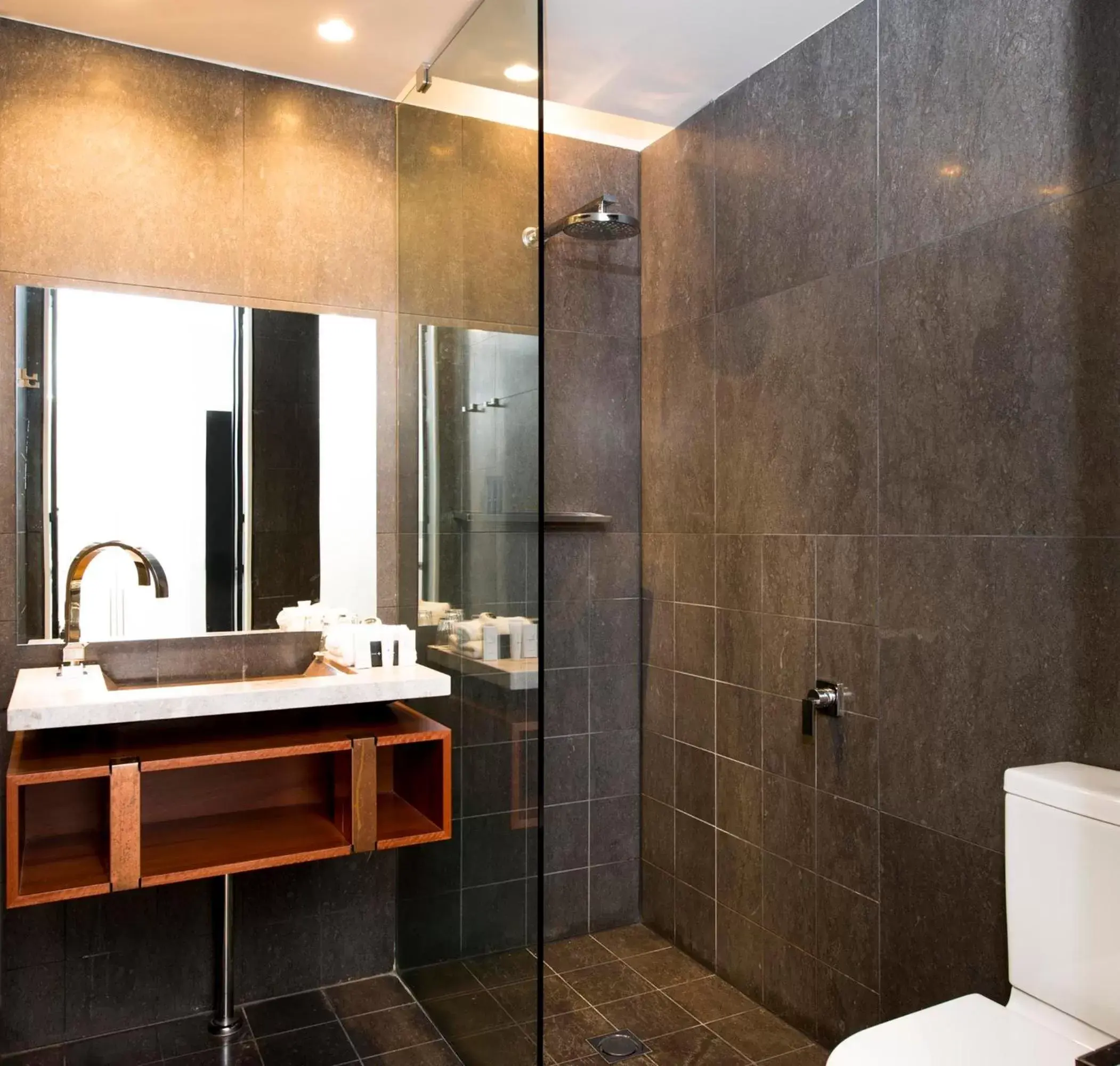 Shower, Bathroom in Peppers Gallery Hotel