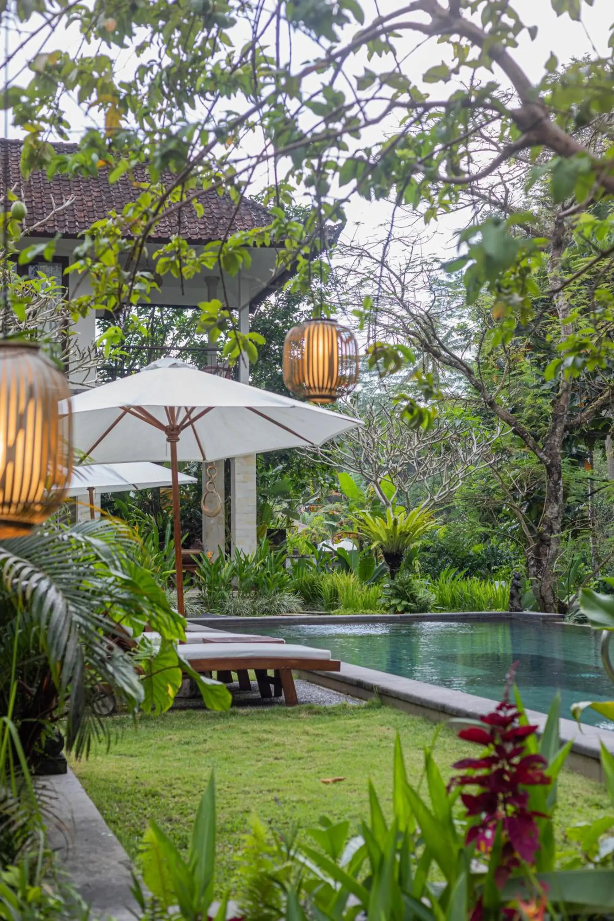 Natural landscape, Swimming Pool in Suara Air Luxury Villa Ubud