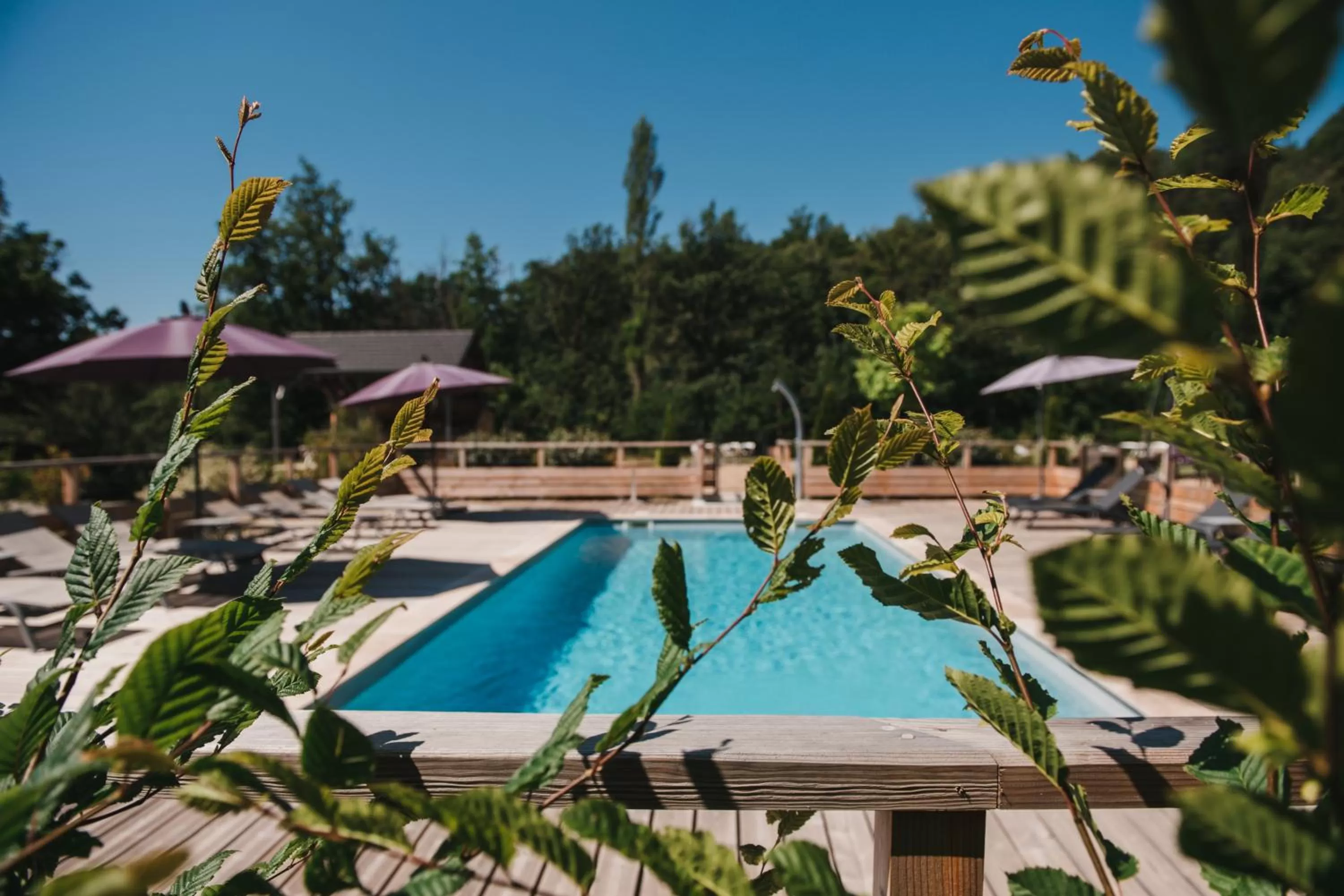 Swimming pool in Les Olivades