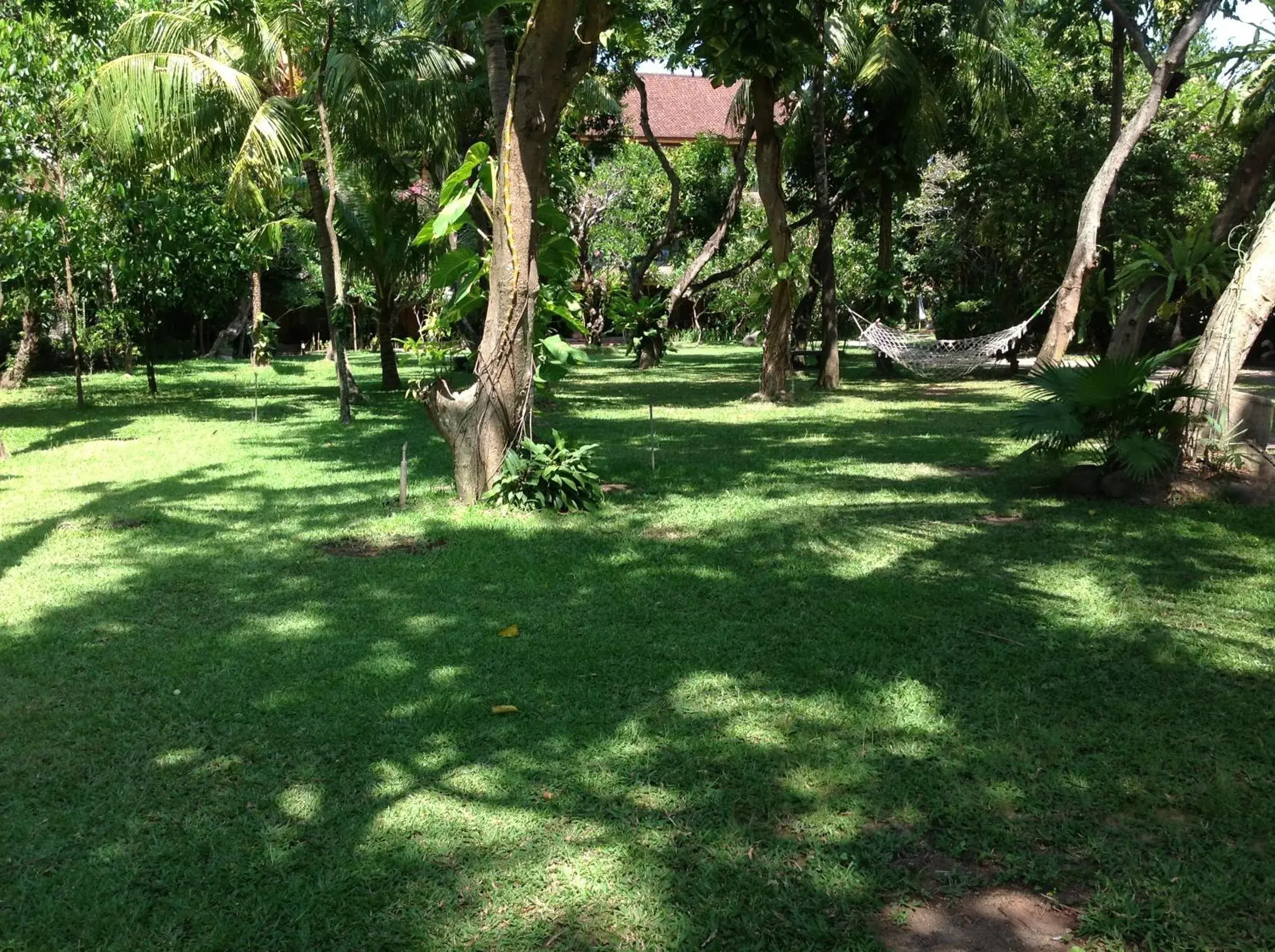 Garden in Matahari Bungalow Hotel