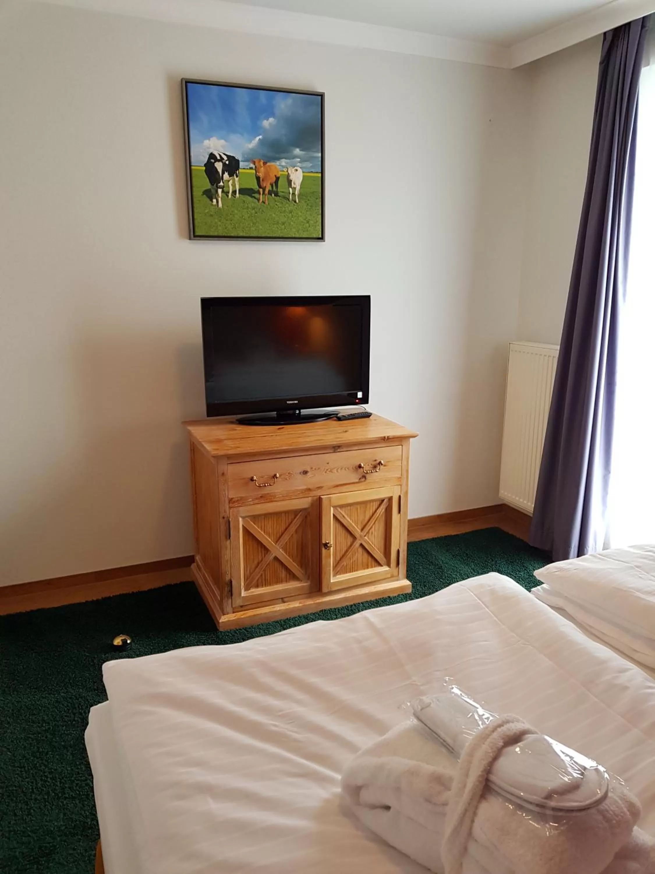 Bedroom, TV/Entertainment Center in Dreiklang Business & Spa Resort