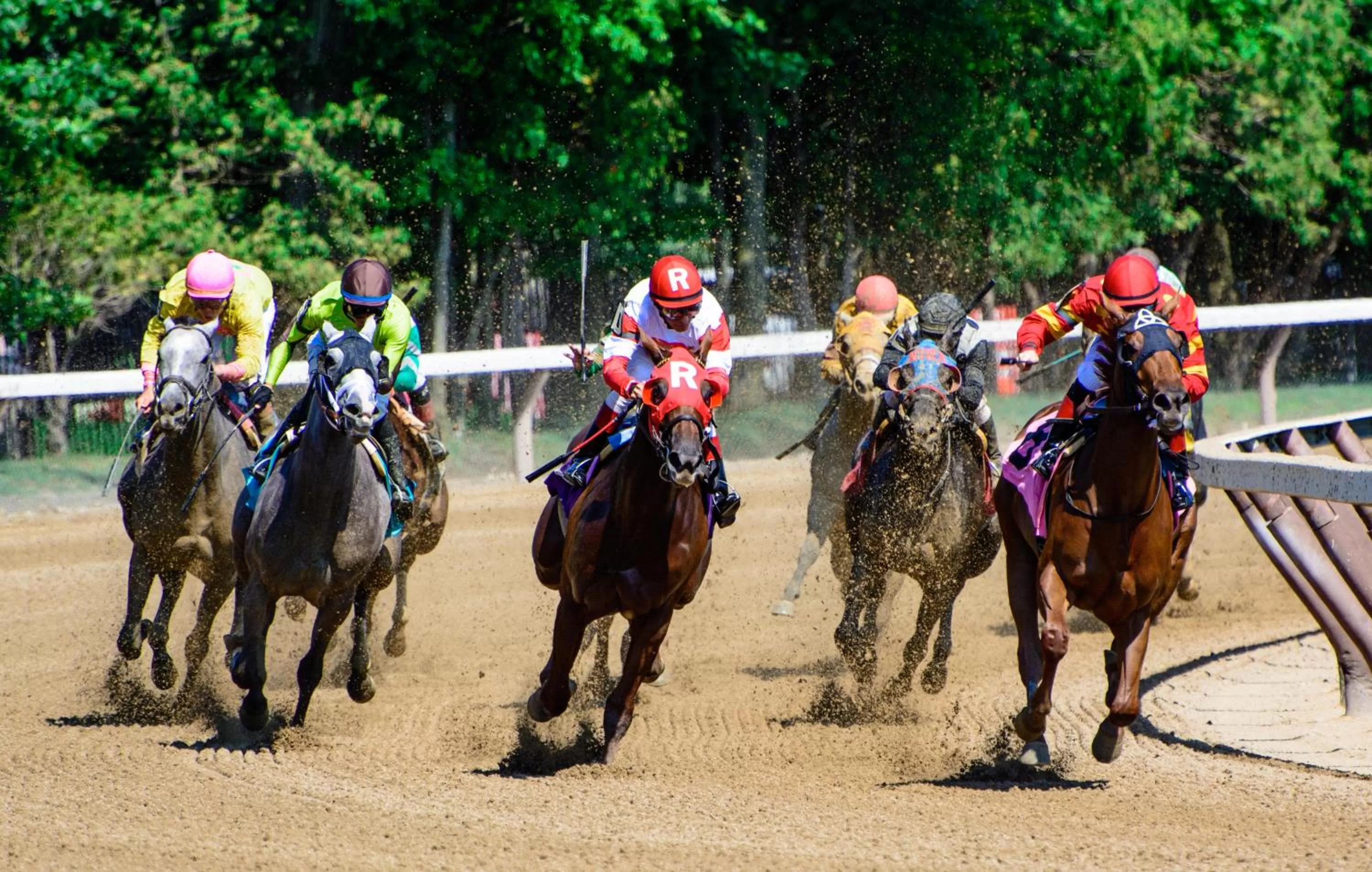 Activities in Bluebird Spa City Motor Lodge